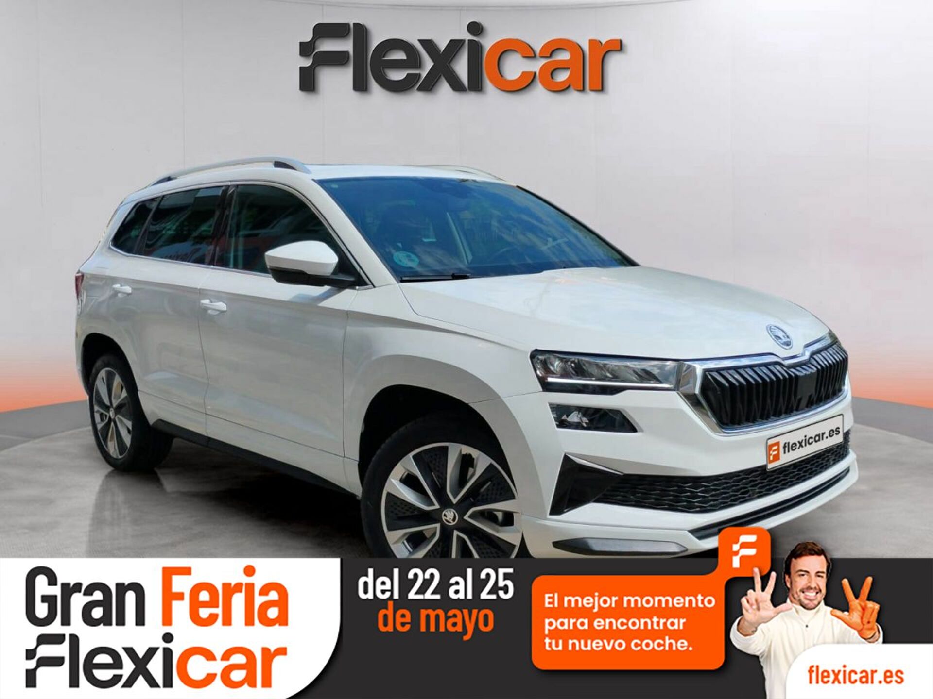 Imagen de SKODA Karoq