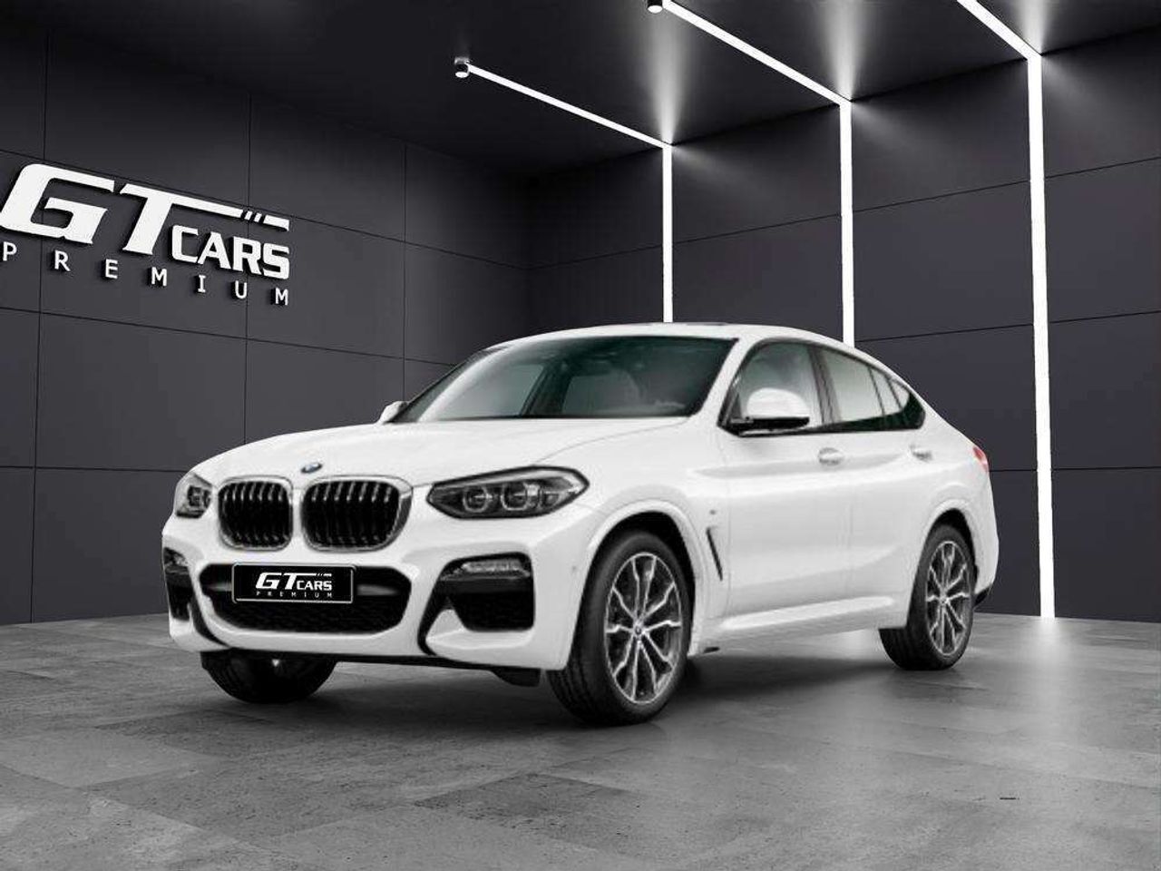 BMW X4 (XDRIVE 20d) en Palmas, Las