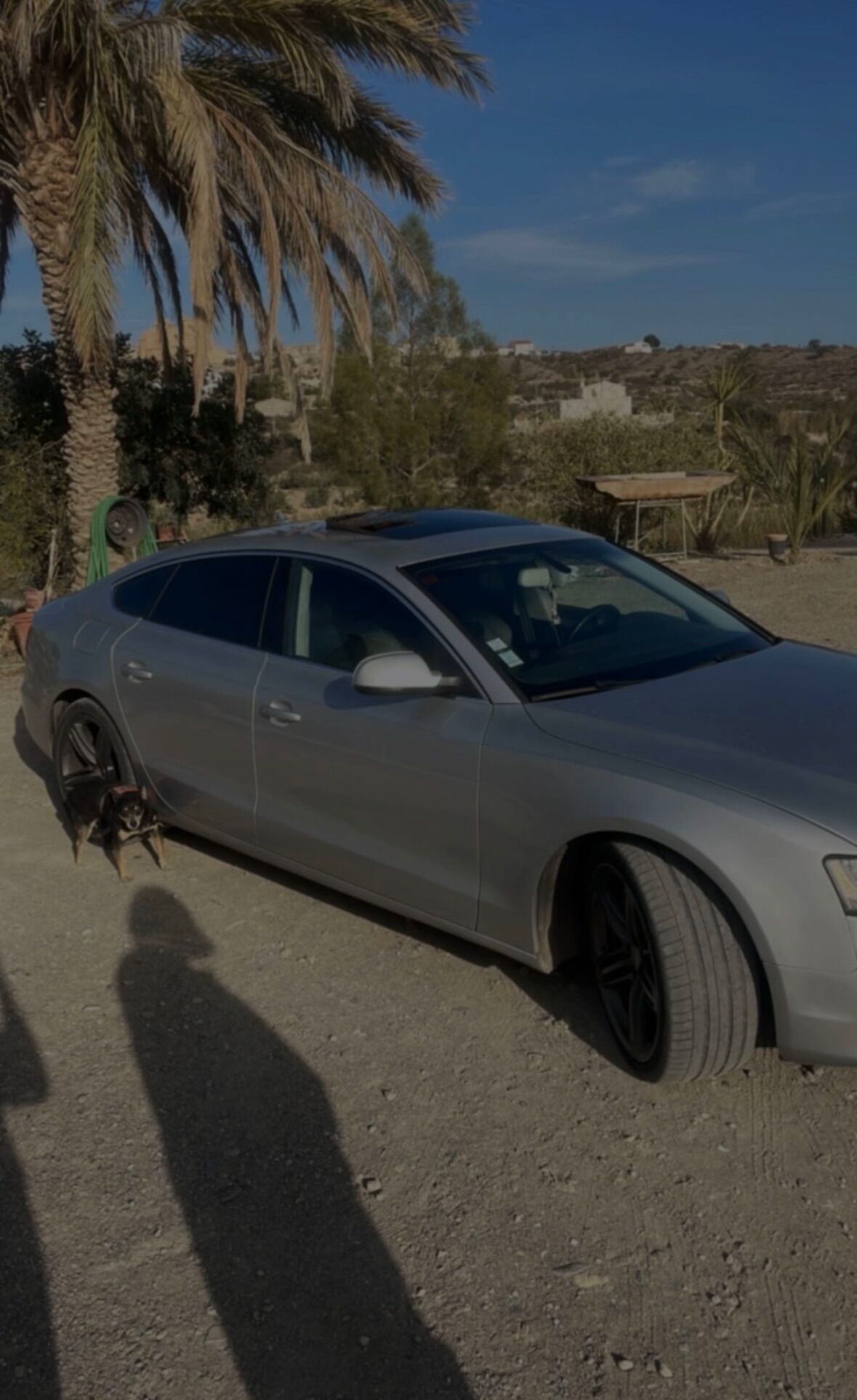 Foto del AUDI A5 Sportback 3.0TDI quattro S-Tronic