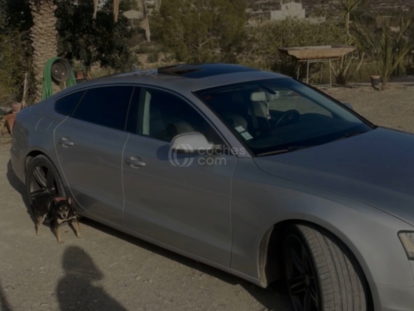 Foto del AUDI A5 Sportback 3.0TDI quattro S-Tronic