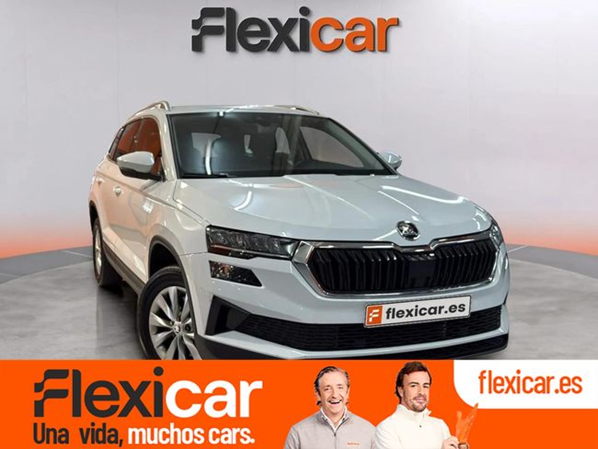 Imagen de SKODA Karoq