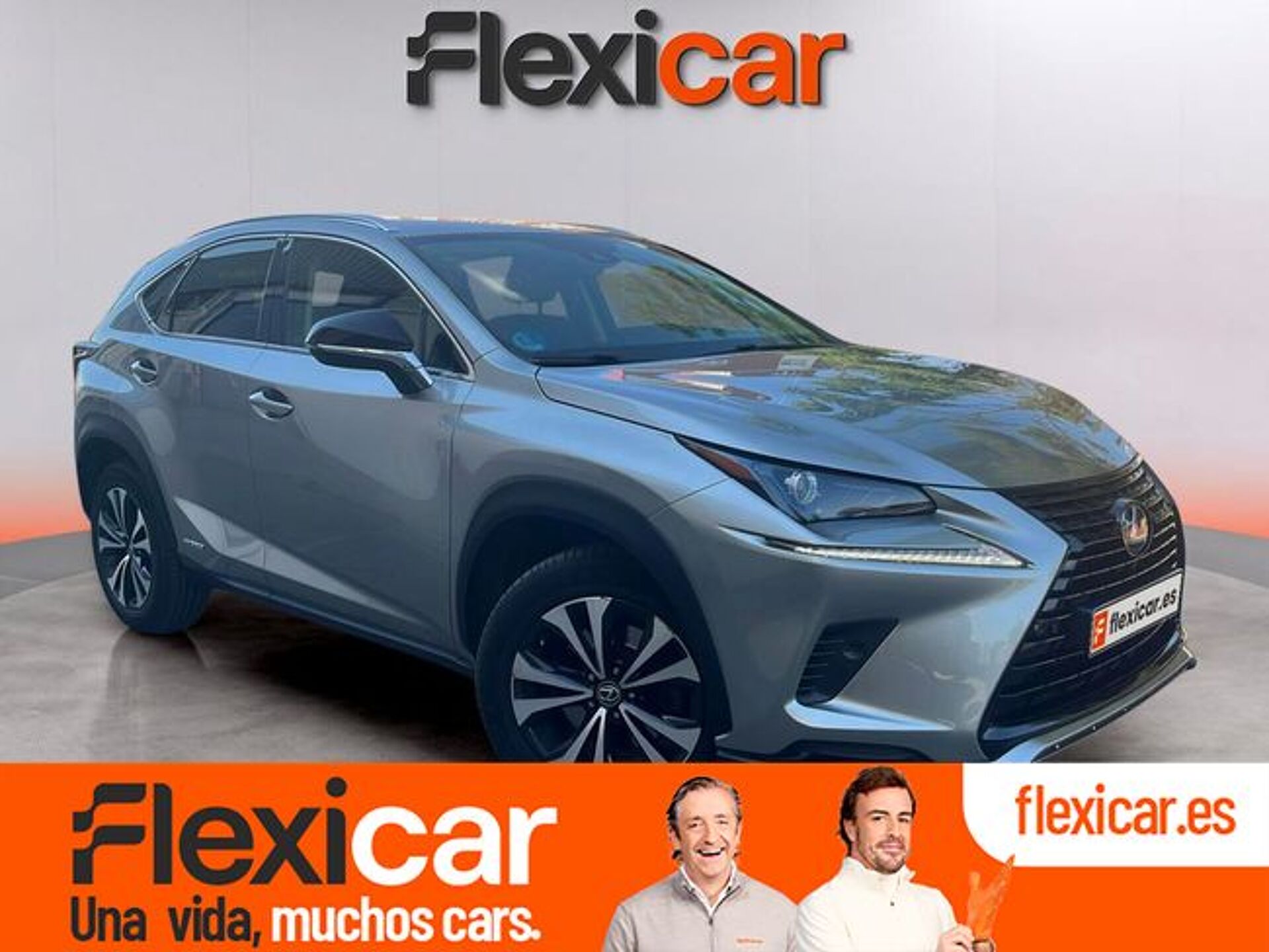 Imagen de LEXUS NX