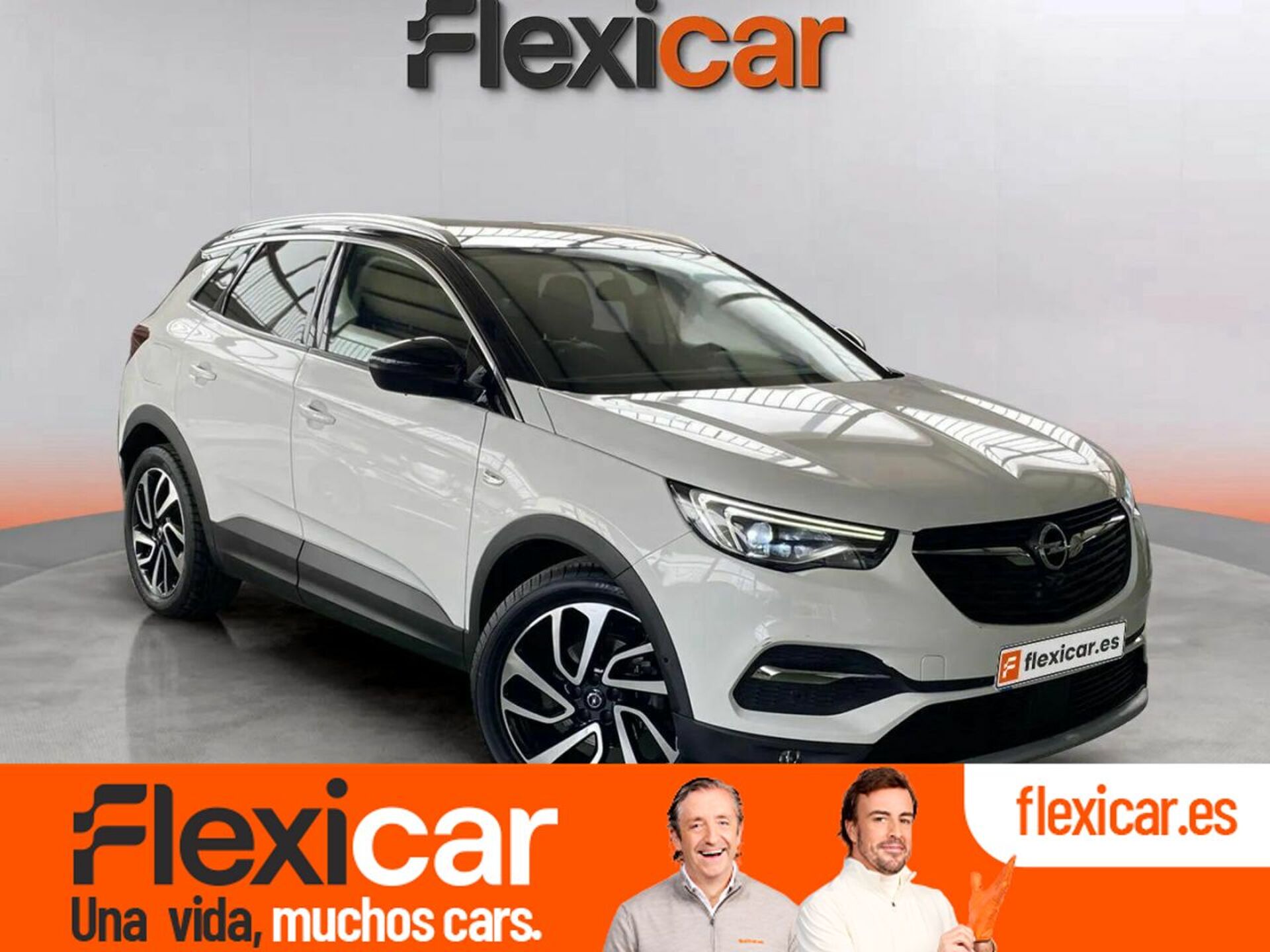 Imagen de OPEL Grandland X