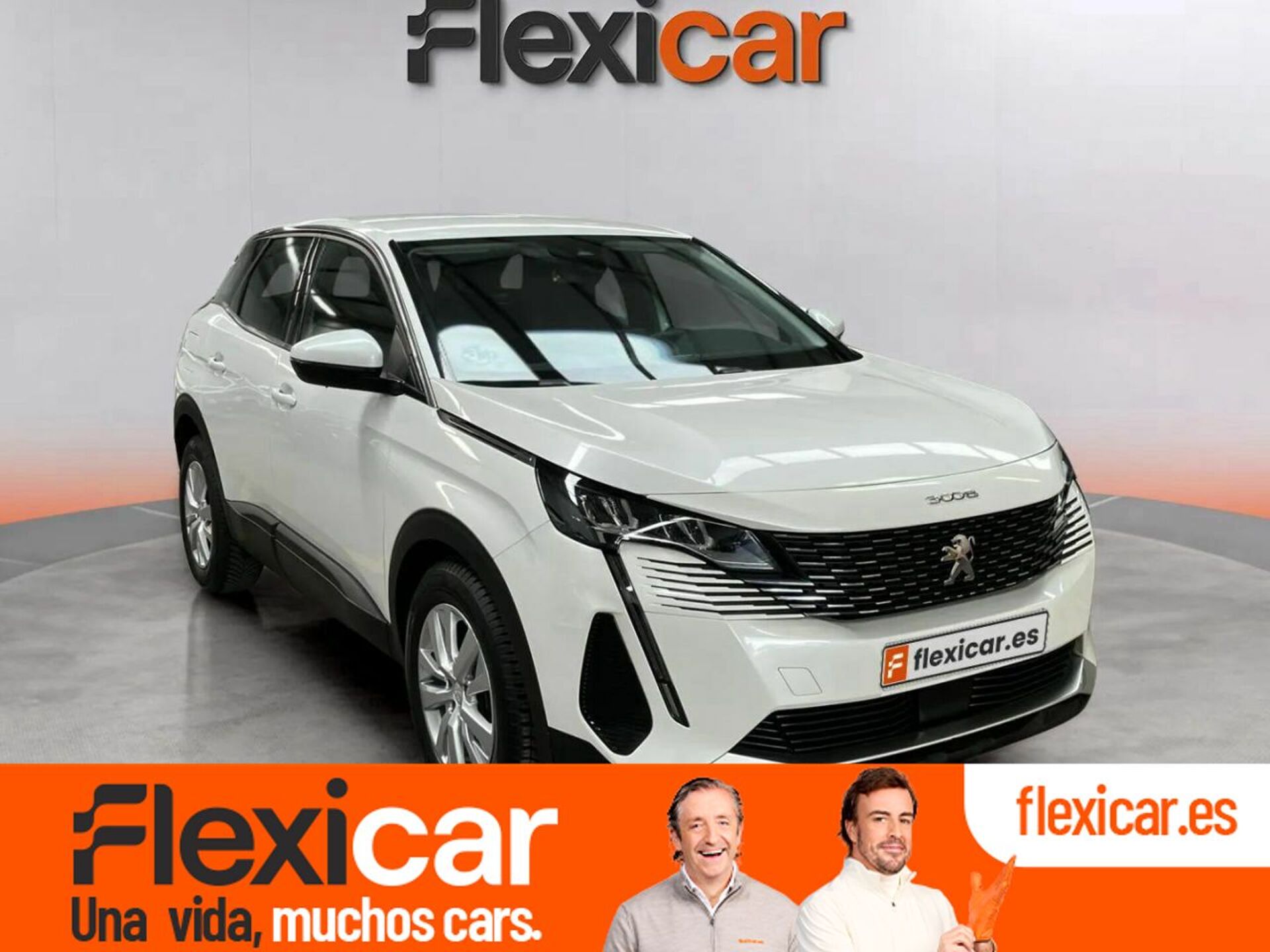 Imagen de PEUGEOT 3008