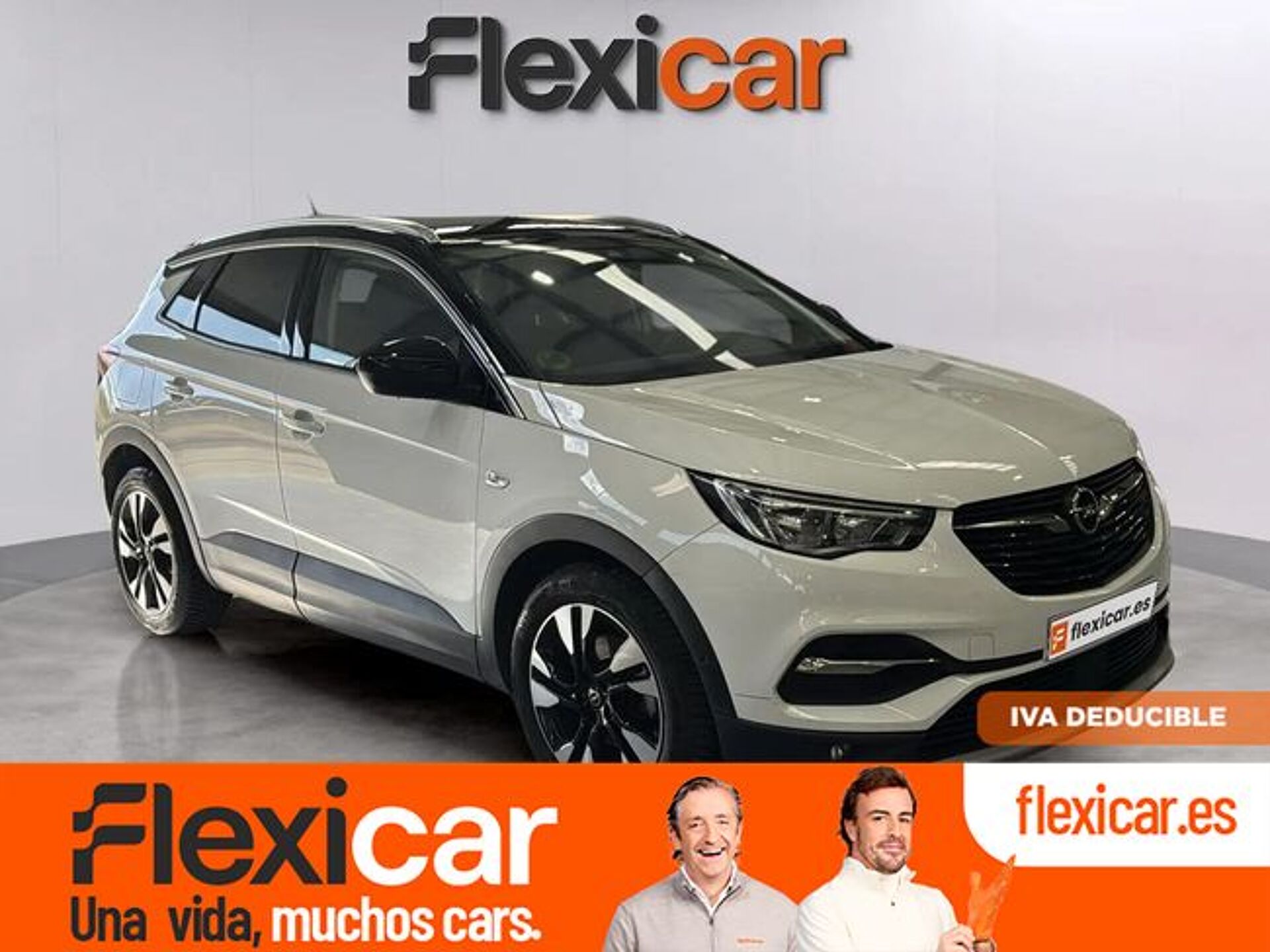 Imagen 1 de OPEL Grandland X