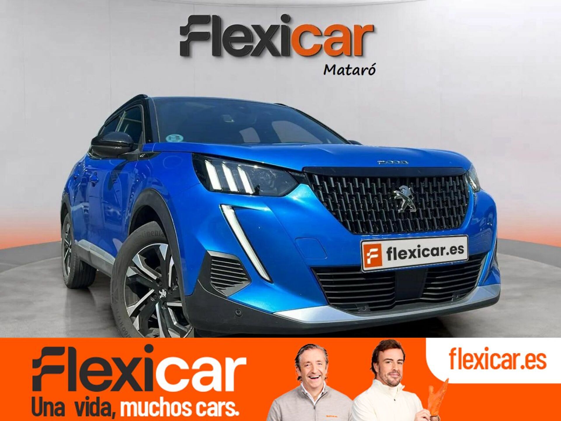 Imagen de PEUGEOT 2008