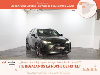 Imagen de LEXUS UX 250h Business 2WD