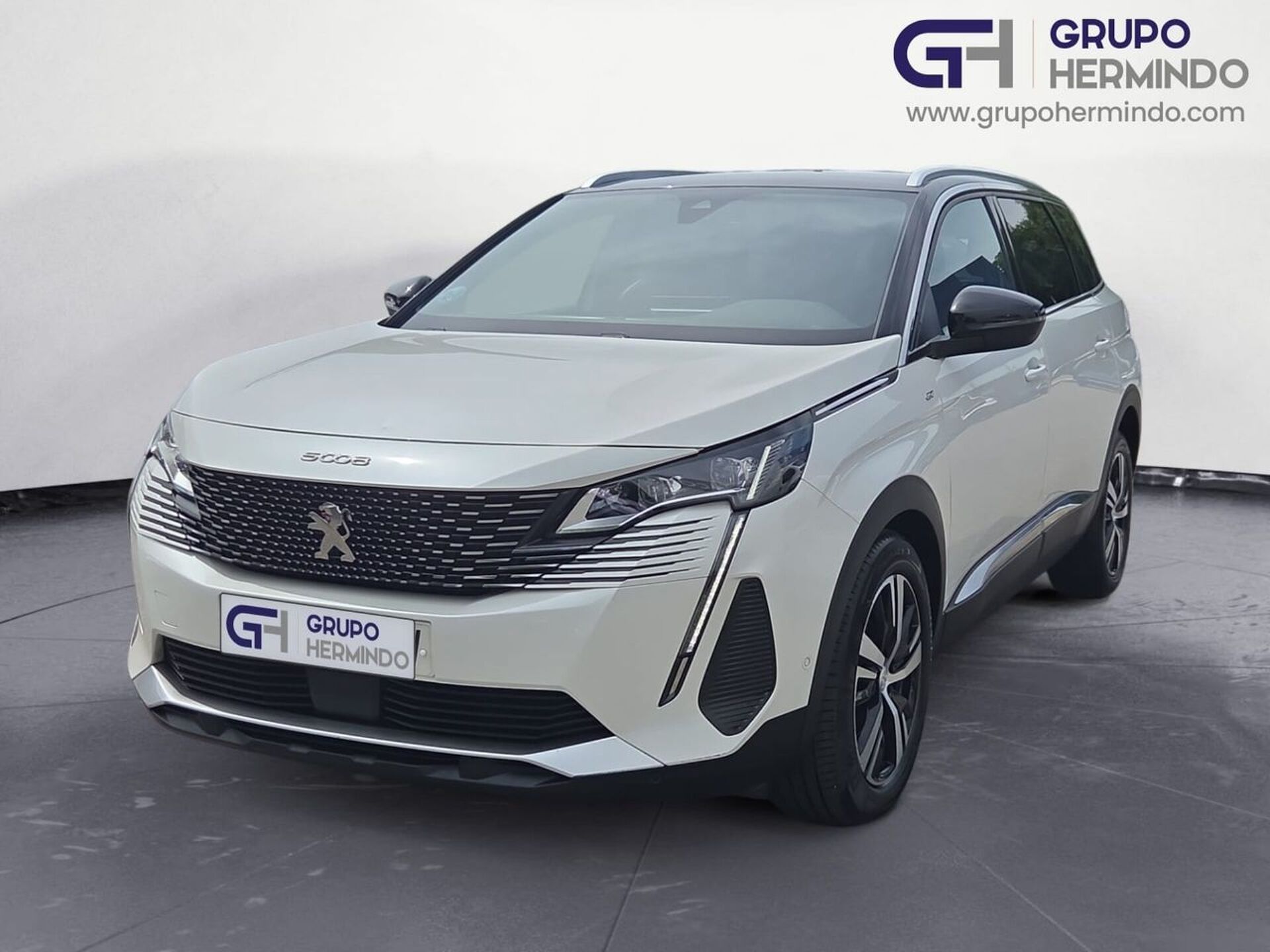 Imagen de PEUGEOT 5008