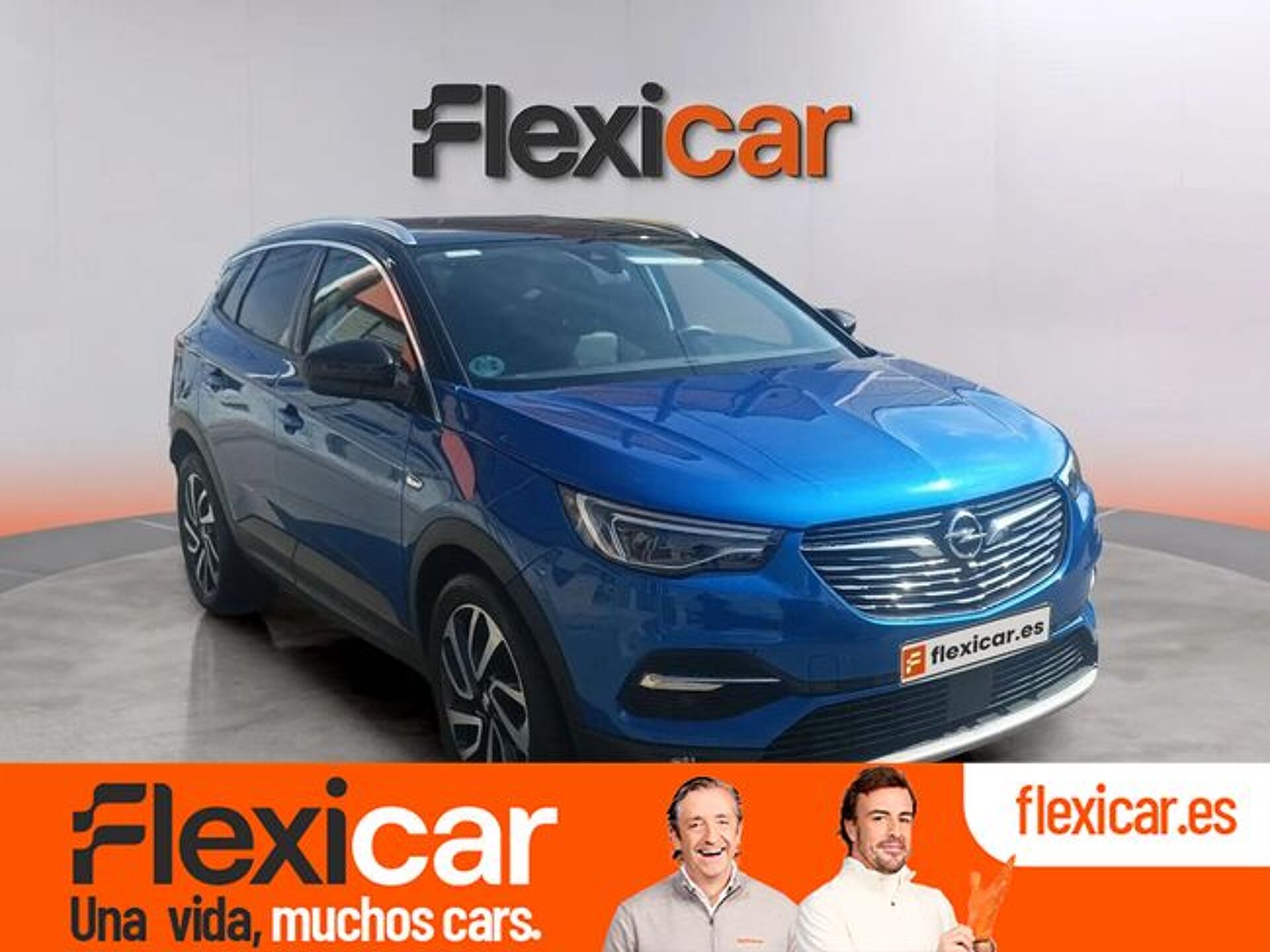 Imagen 1 de OPEL Grandland X