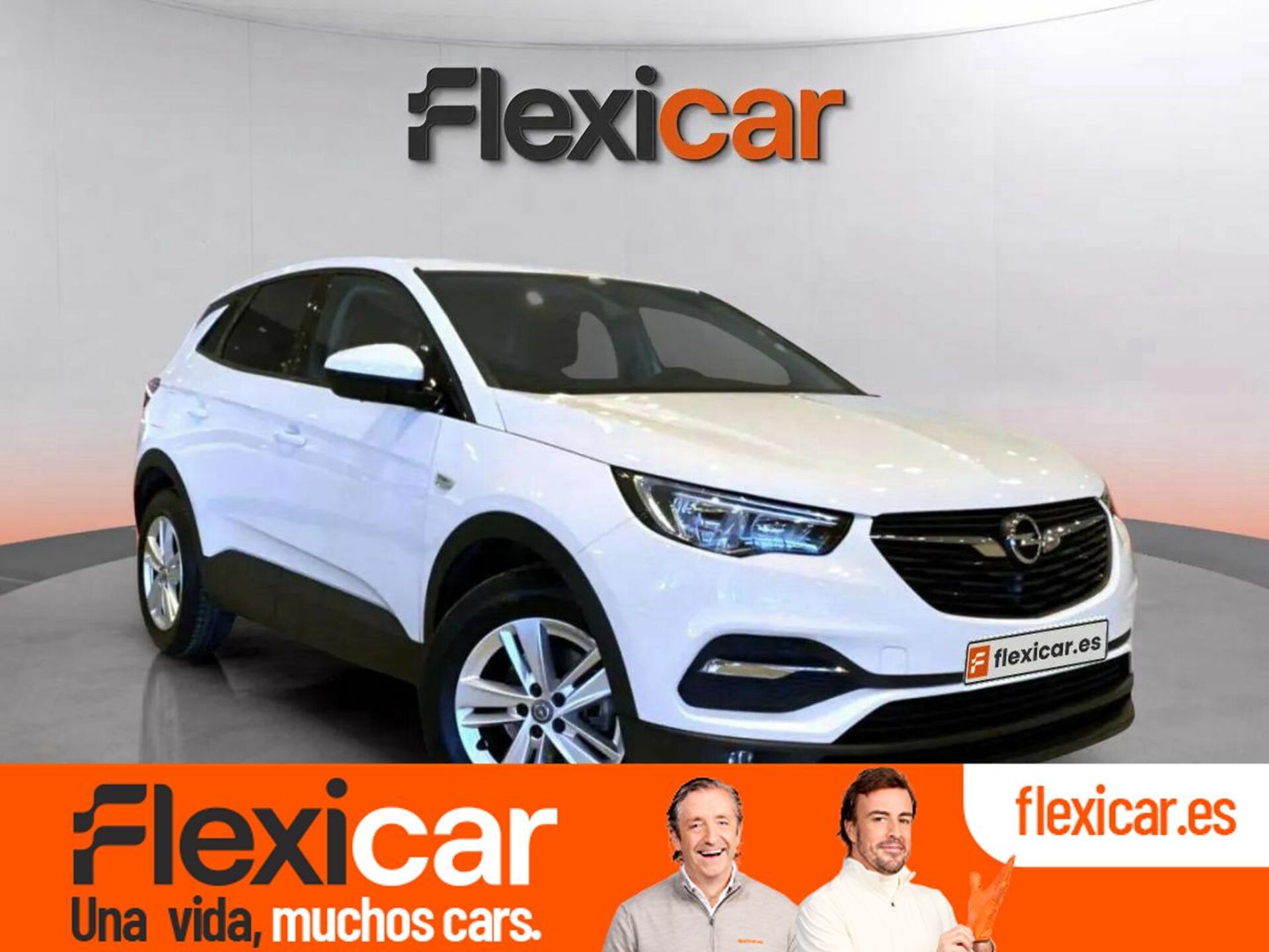 Imagen de OPEL Grandland X