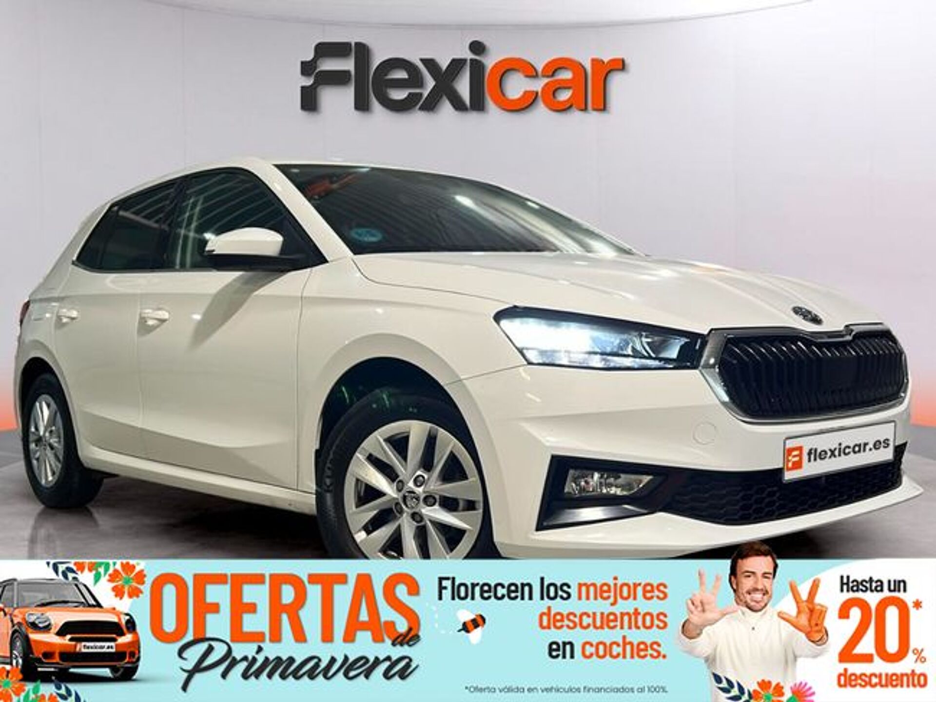 Imagen 1 de SKODA Fabia