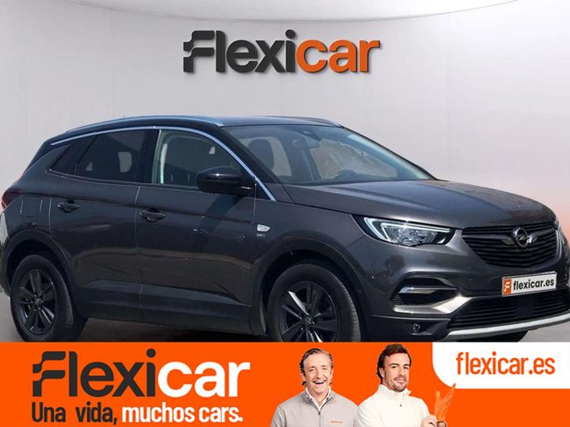 Imagen de OPEL Grandland X