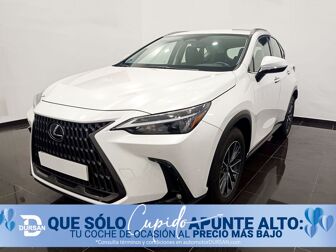 Imagen de LEXUS NX 350h Business City 4WD