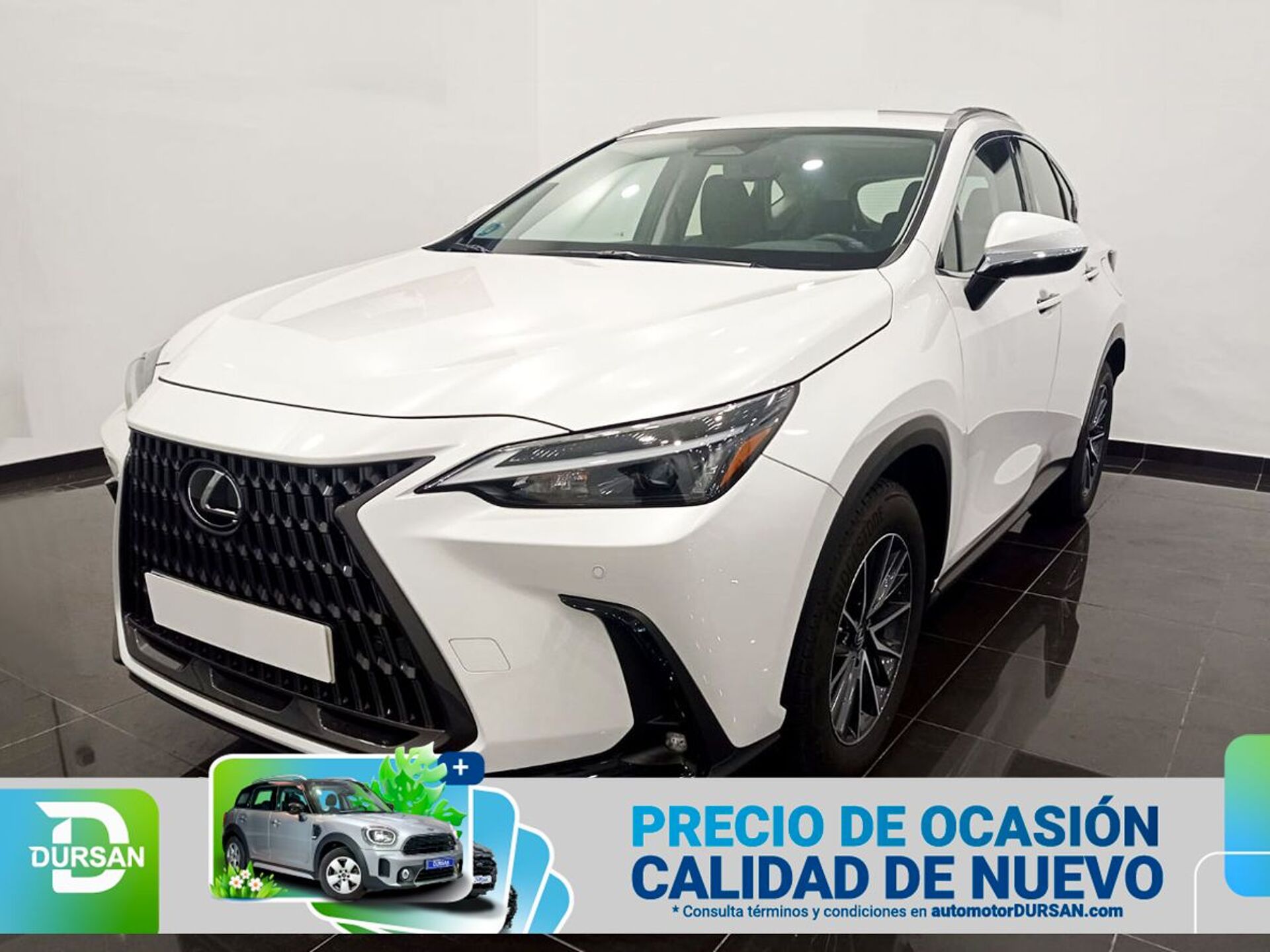 Imagen de LEXUS NX
