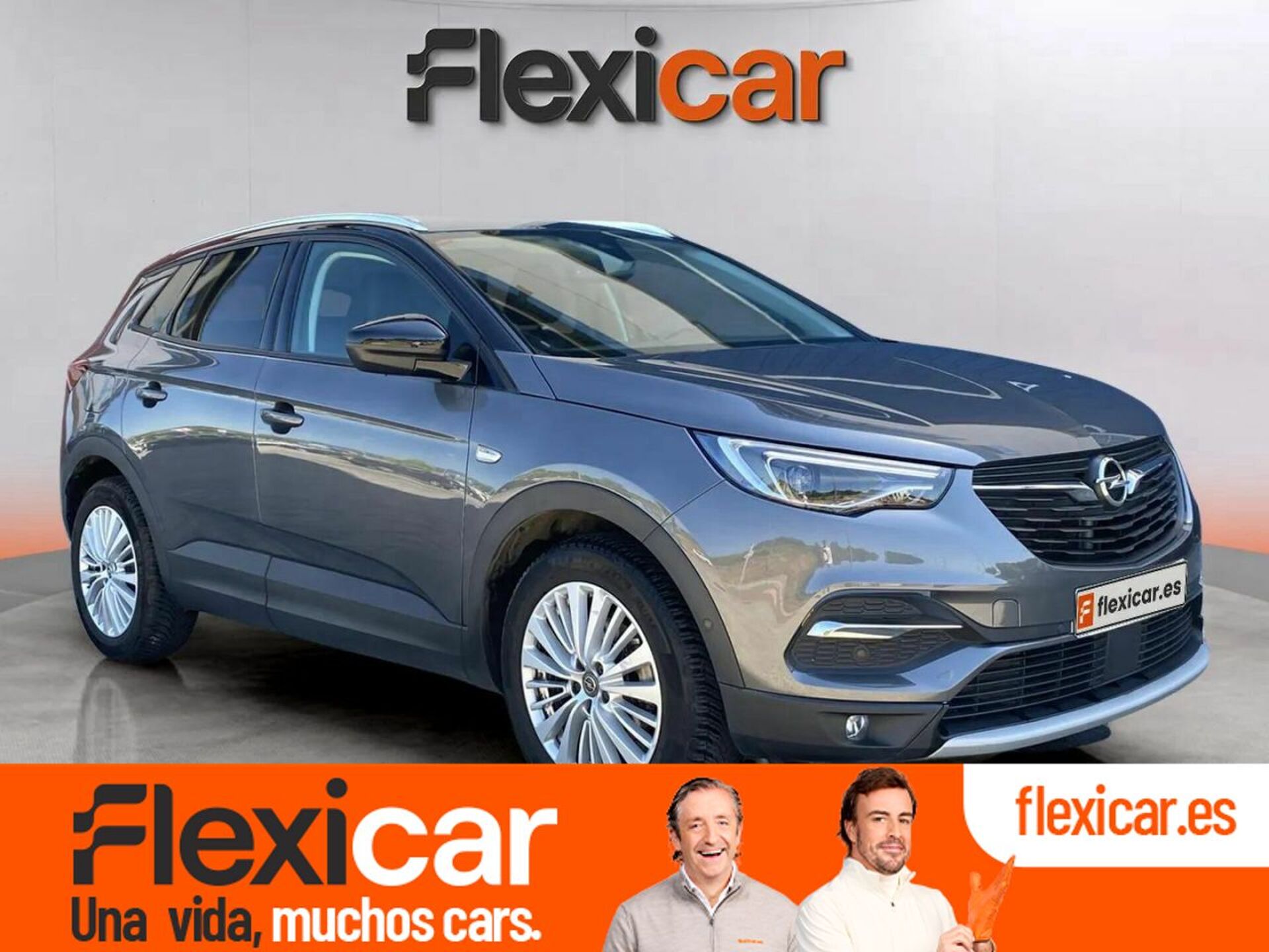 Imagen de OPEL Grandland X