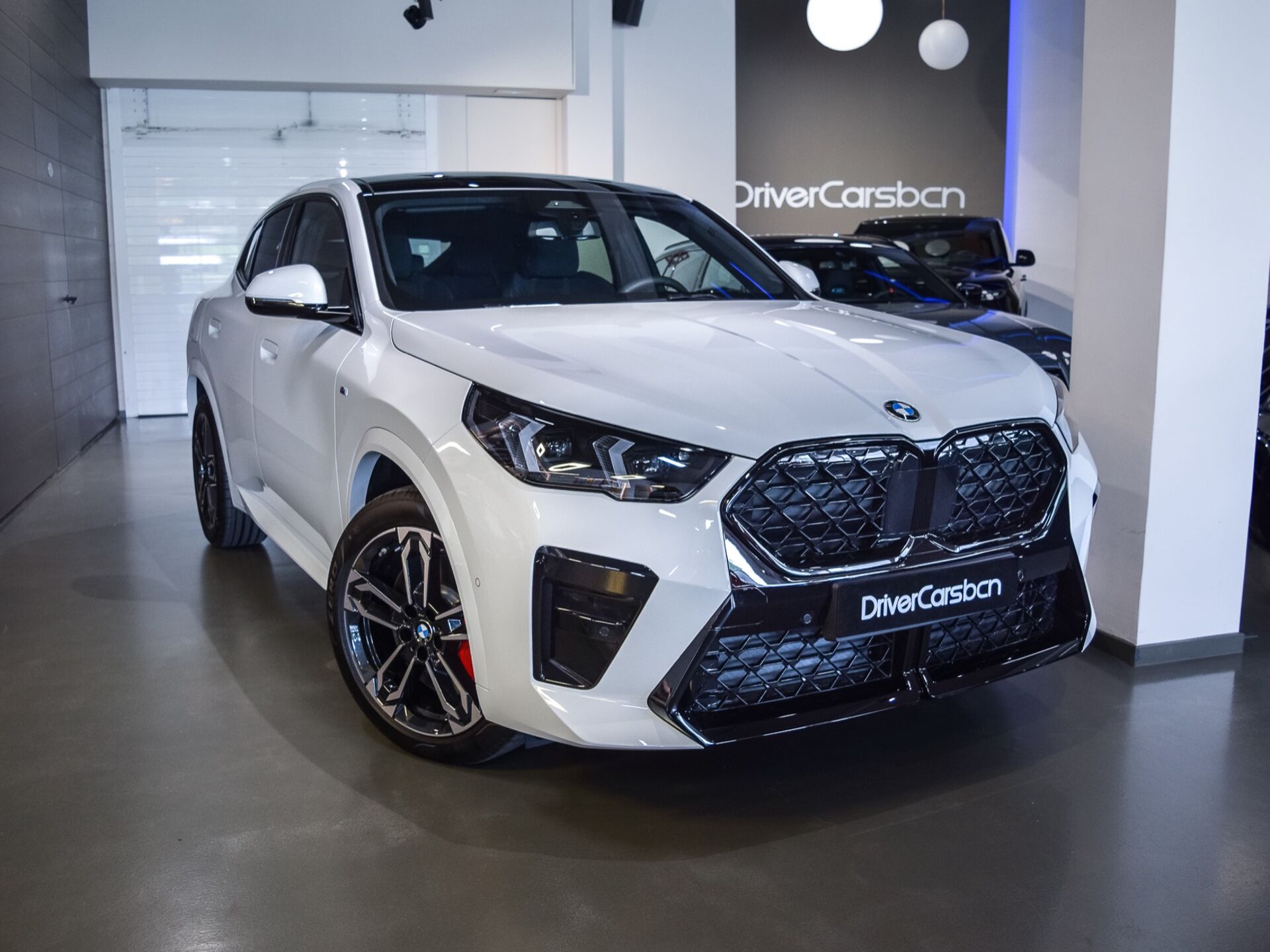 Imagen de BMW X2