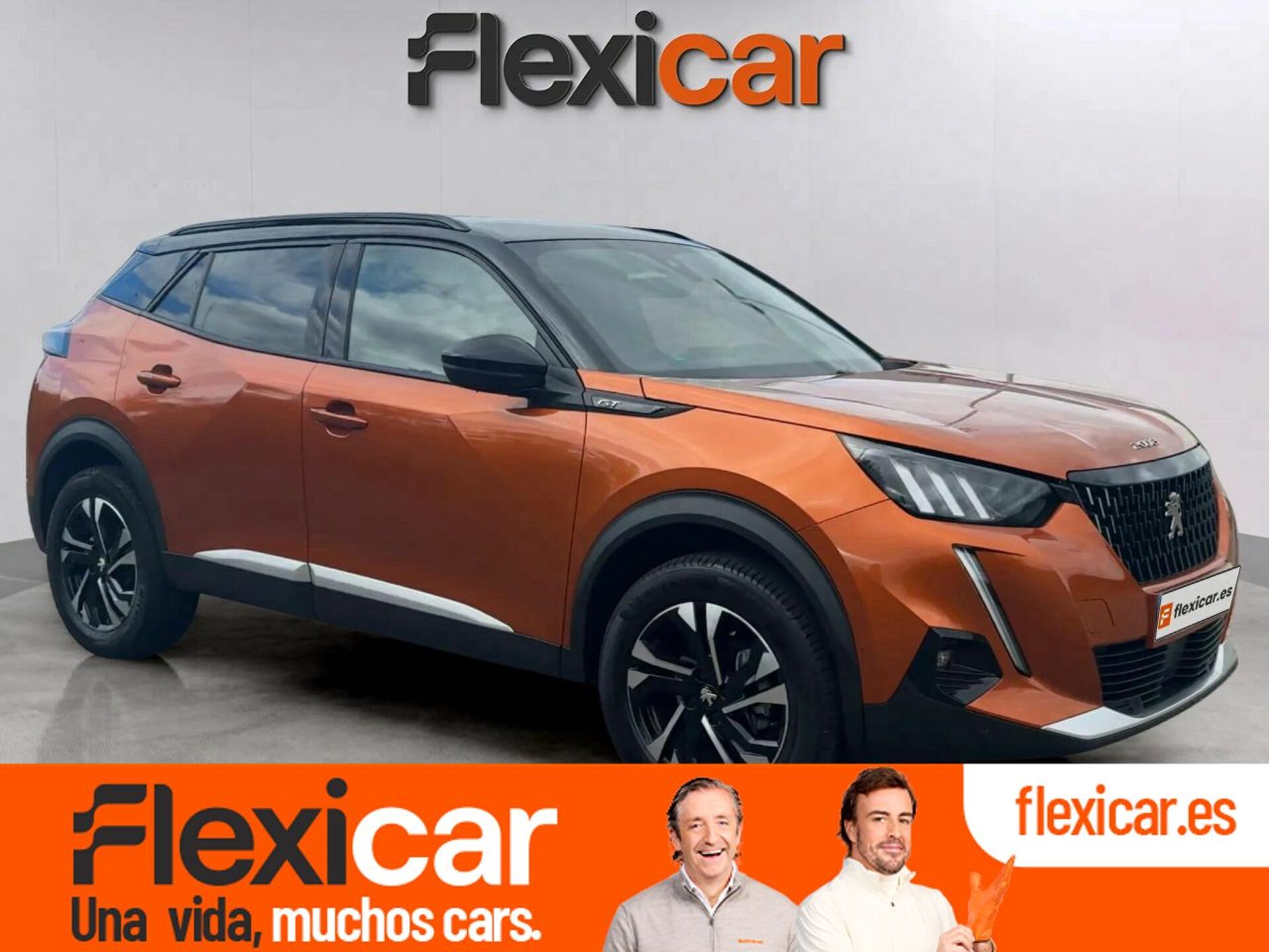 Imagen de PEUGEOT 2008
