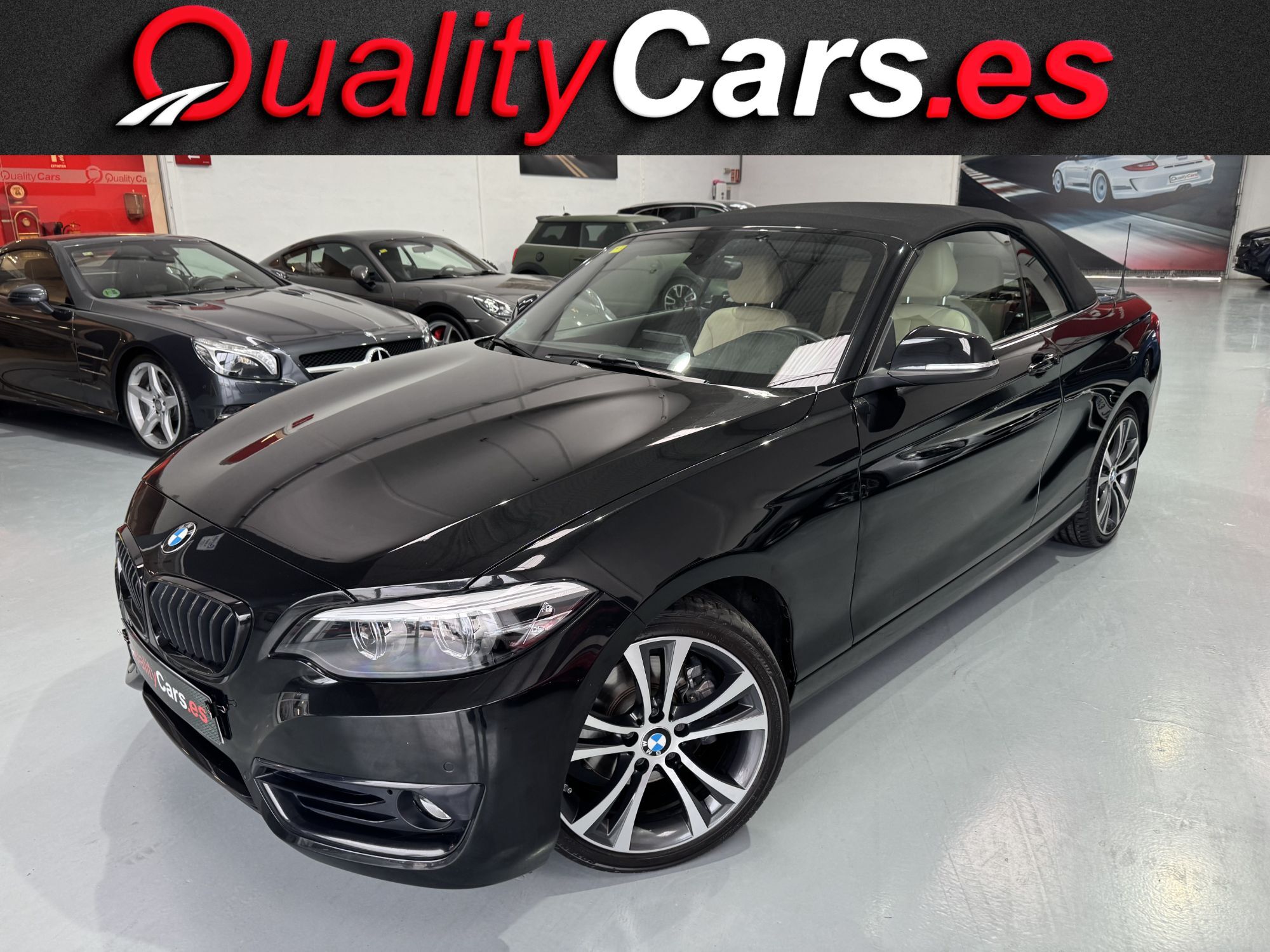 BMW Serie 2 (220iA Cabrio) en Valencia