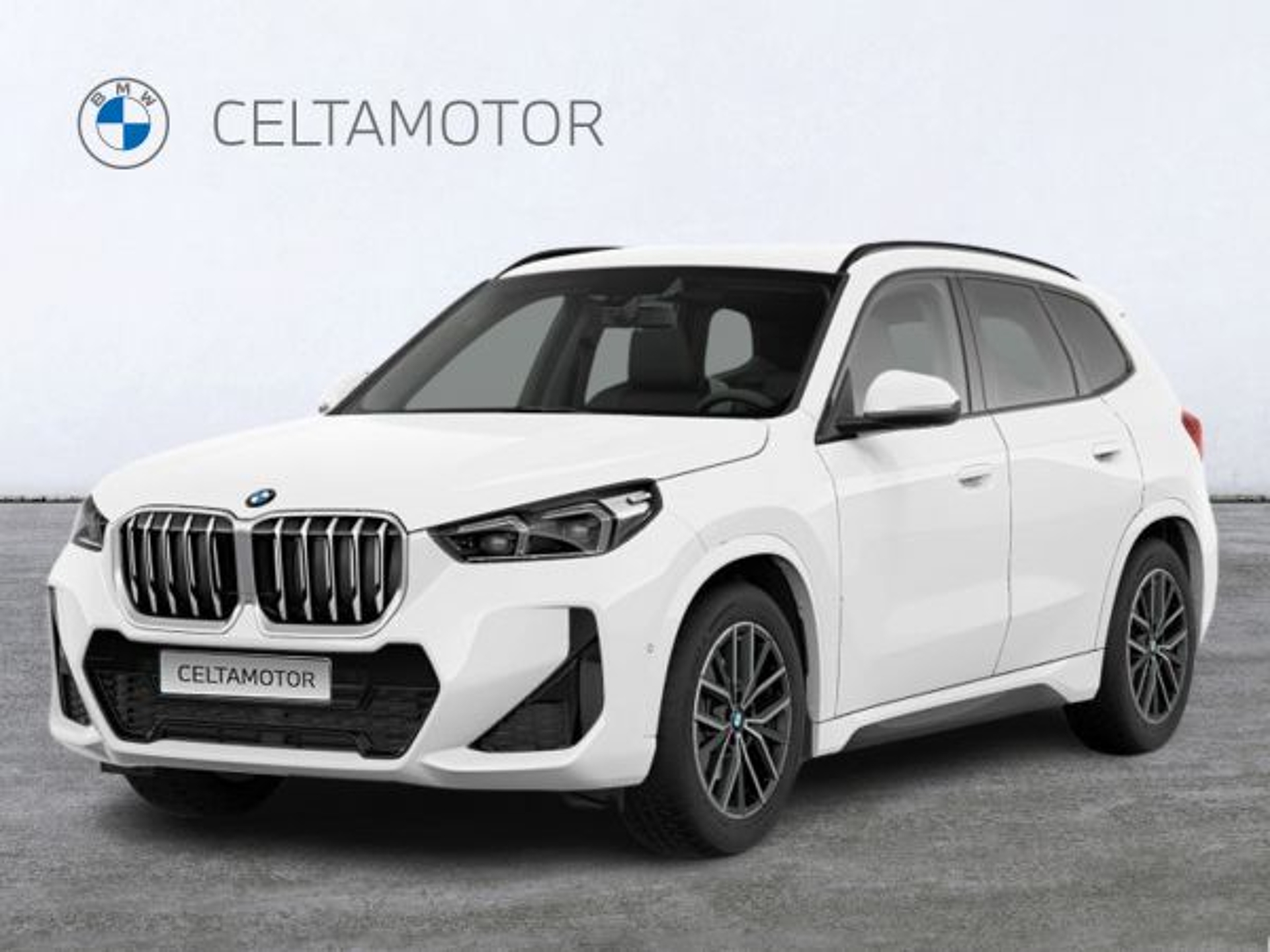 Imagen de BMW X1