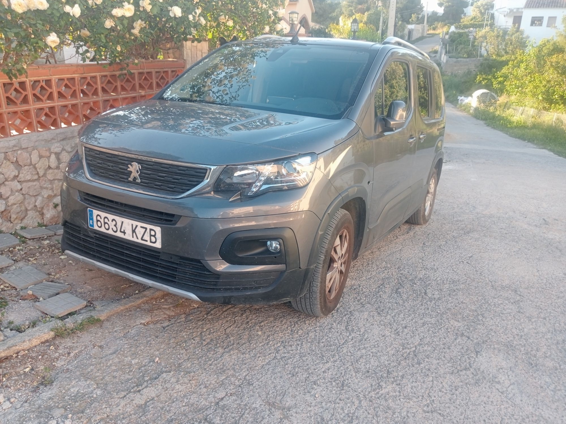 Imagen de PEUGEOT Rifter