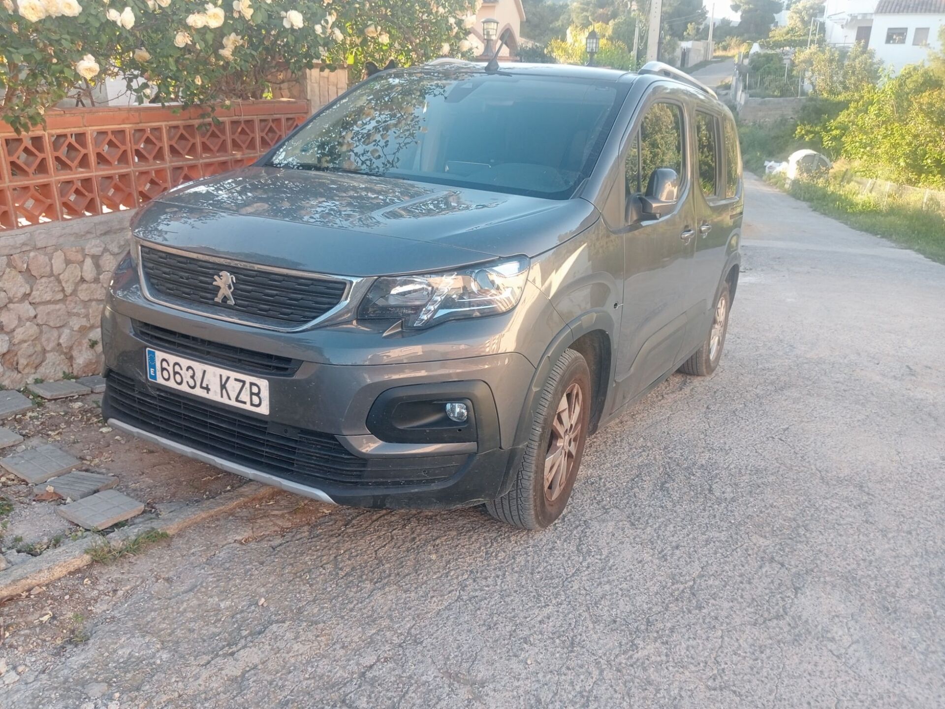 Imagen 1 de PEUGEOT Rifter