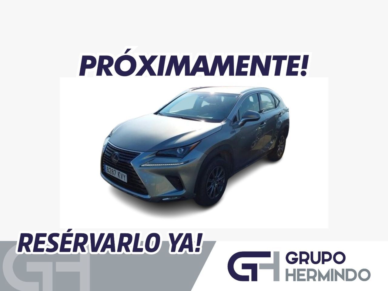 LEXUS NX (2.5 300 H BUSINESS NAVIGATION  2WD) en Lugo