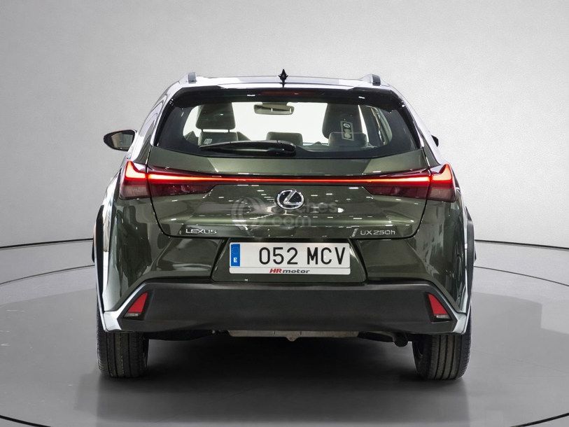 Foto del LEXUS UX 250h Business 4WD