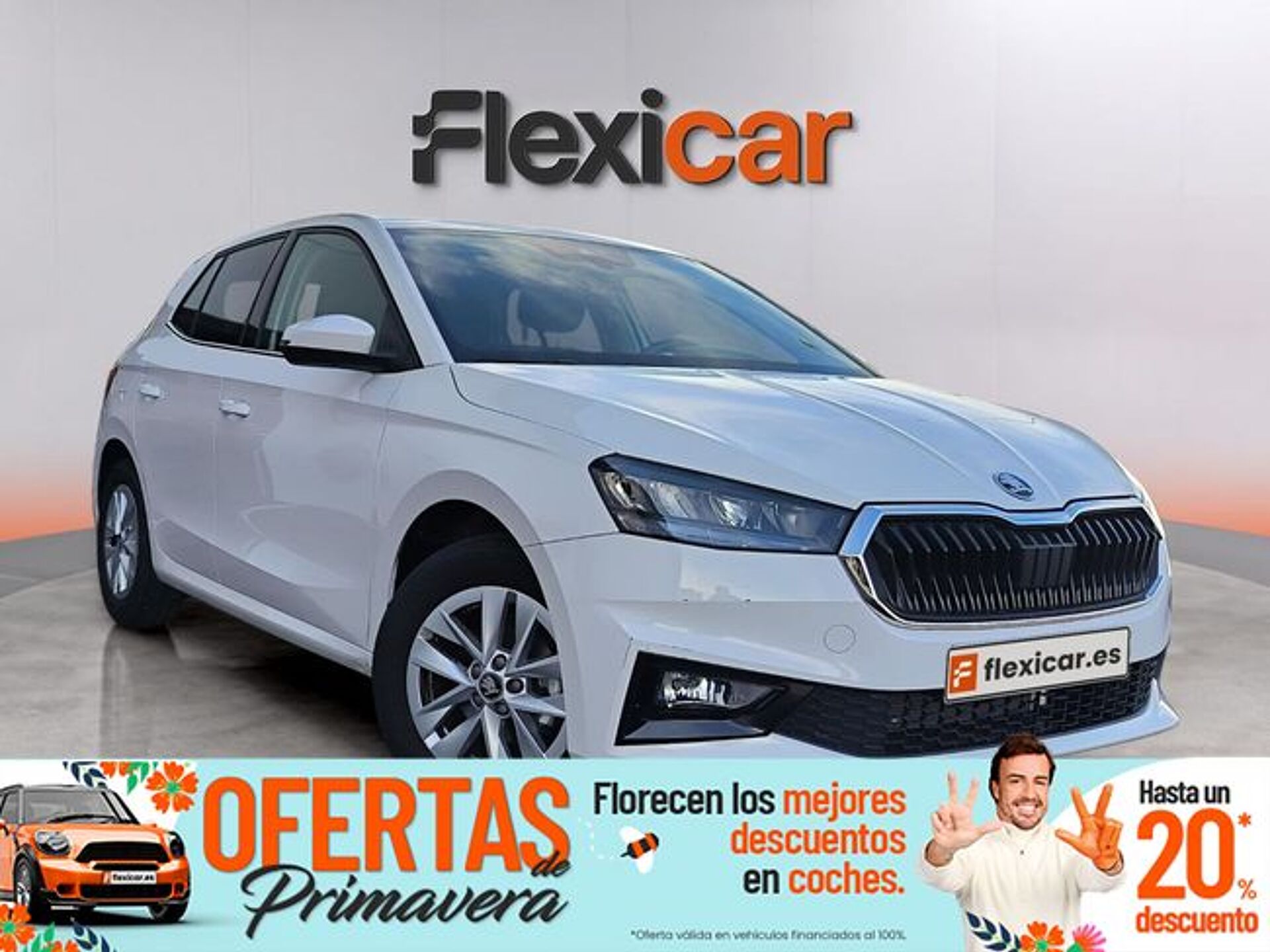 Imagen 1 de SKODA Fabia