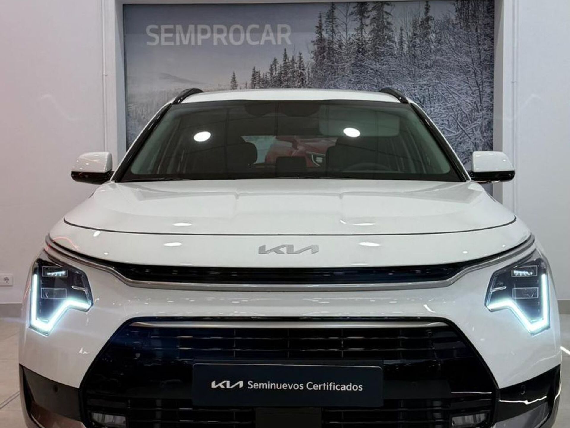 Imagen 3 de KIA Niro