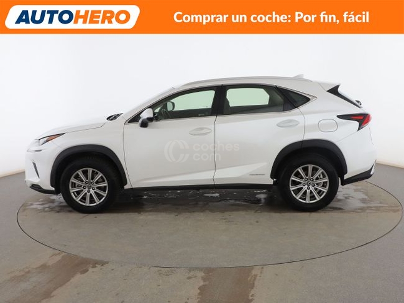 Foto del LEXUS NX 300h Business 2WD