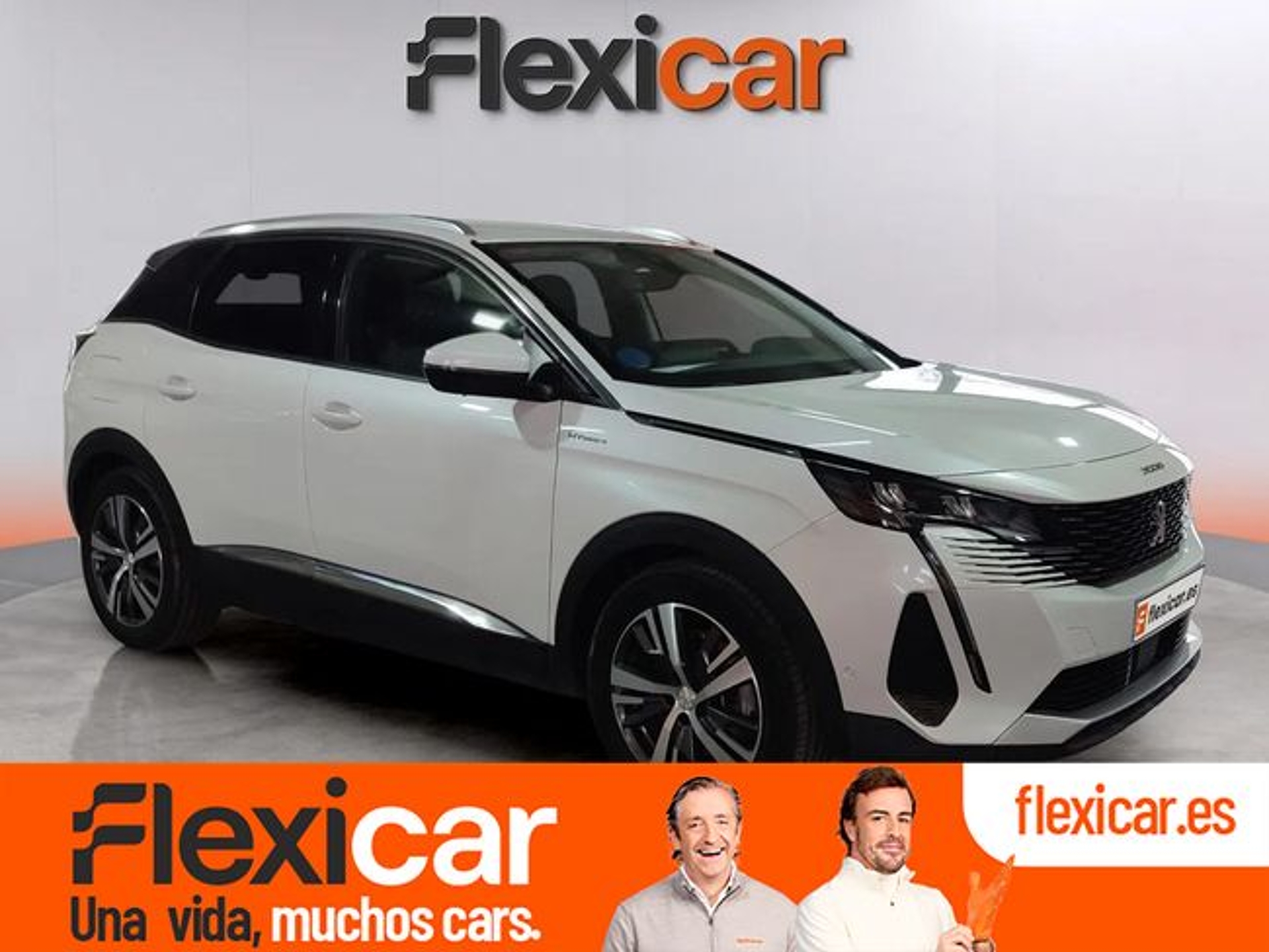 Imagen de PEUGEOT 3008