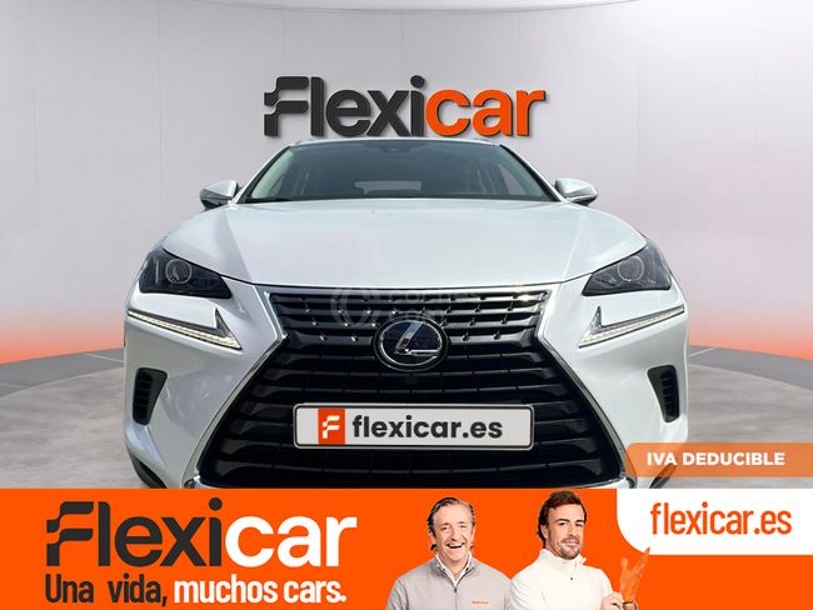 Foto del LEXUS NX 300h Business 2WD