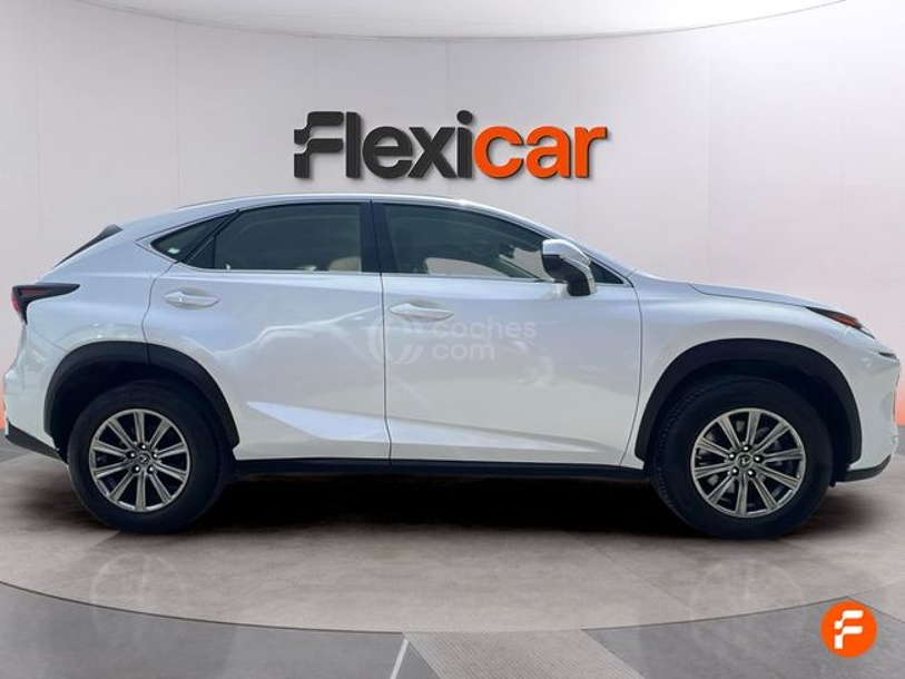 Foto del LEXUS NX 300h Business 2WD