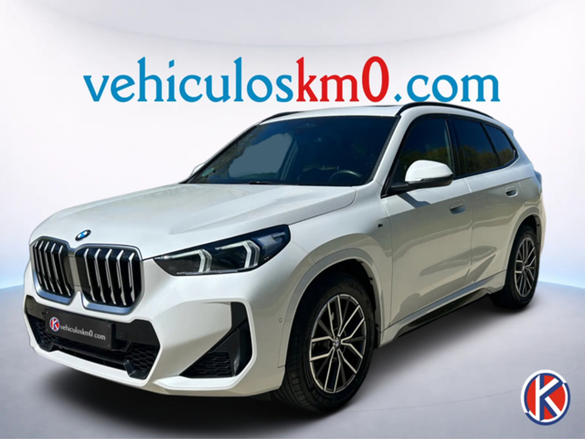Imagen de BMW X1