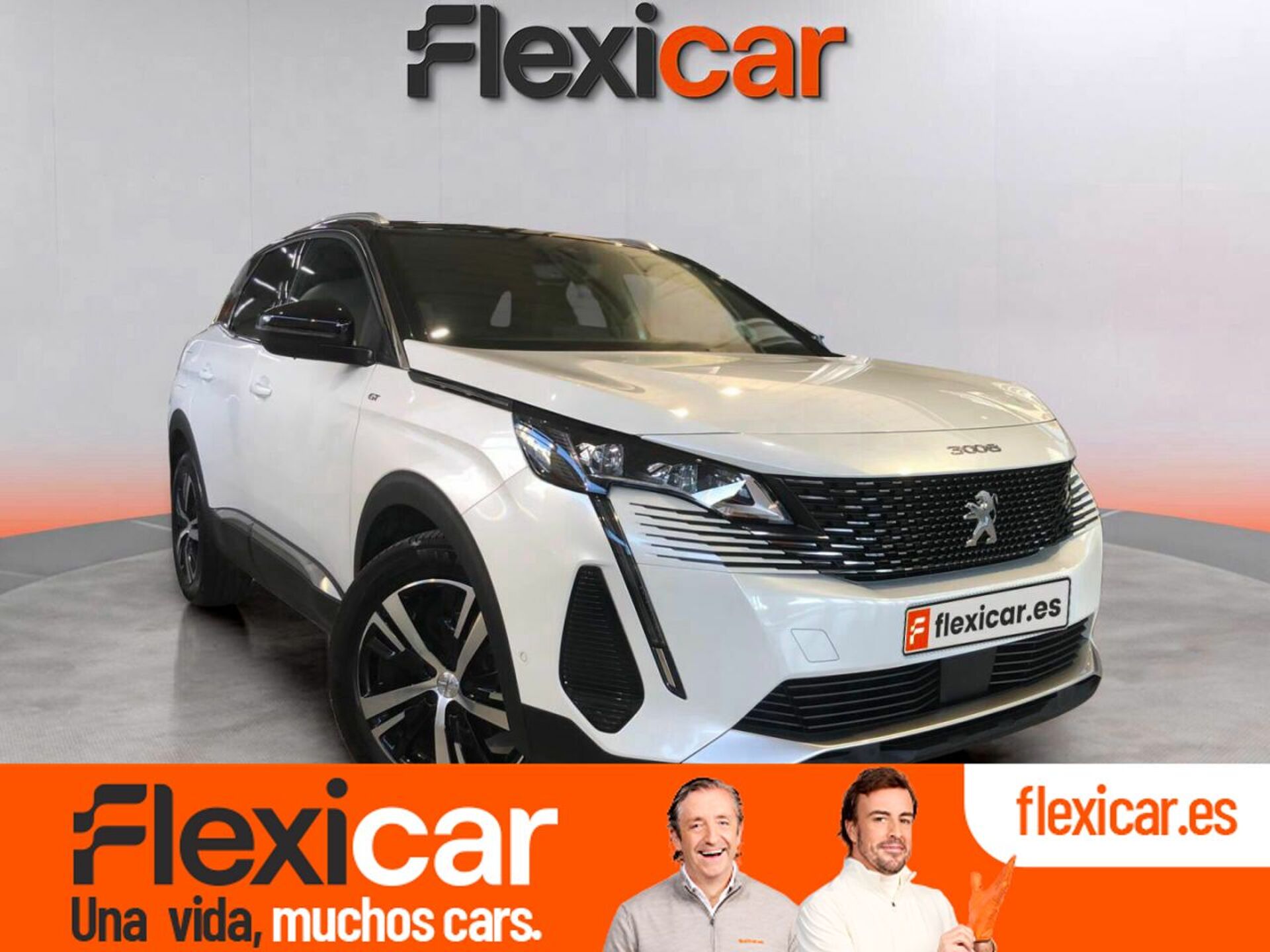 Imagen de PEUGEOT 3008