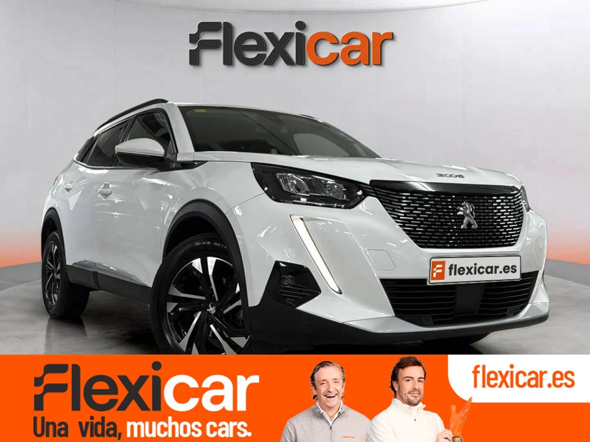 Imagen de PEUGEOT 2008