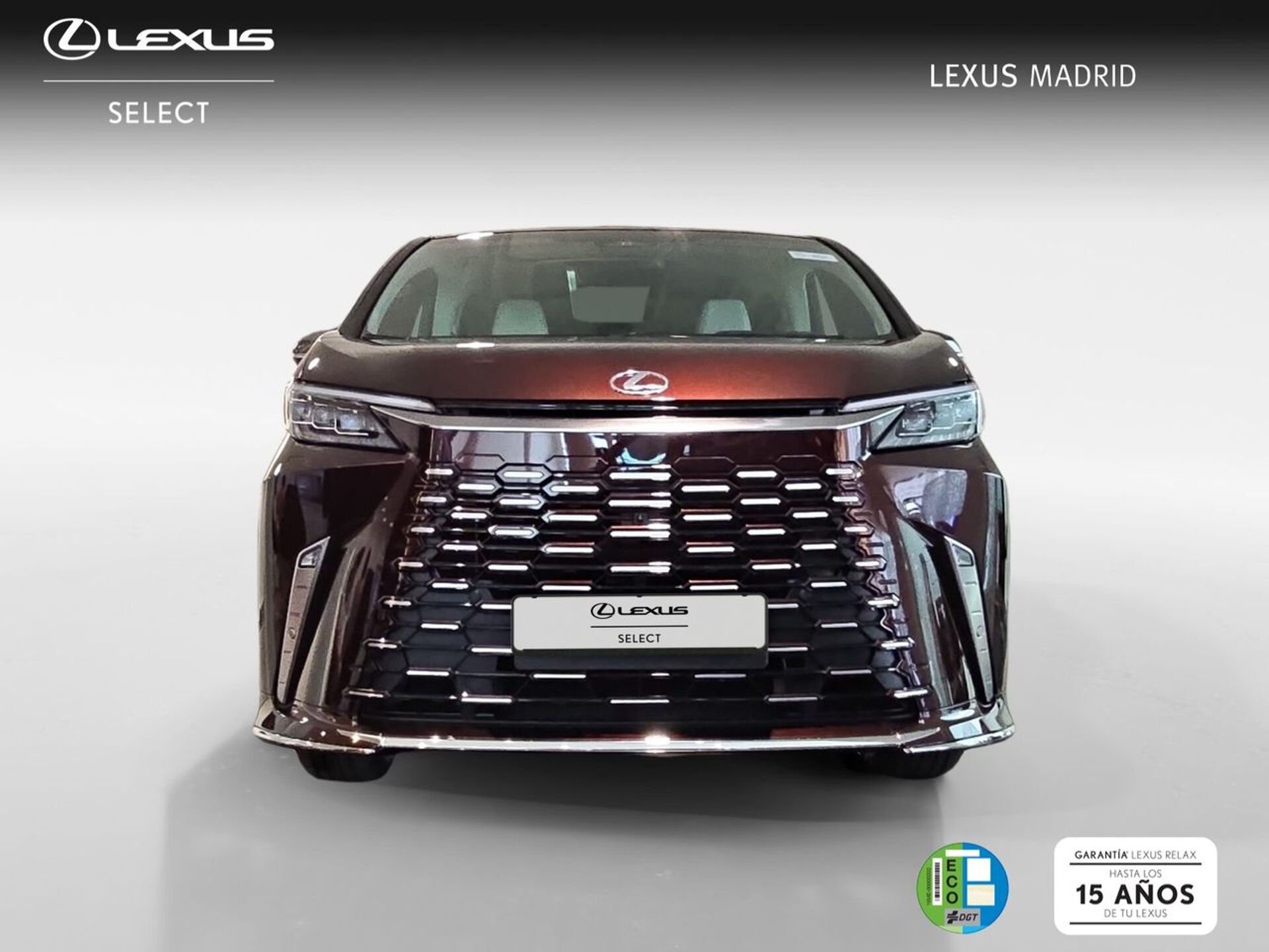 Imagen de LEXUS LM