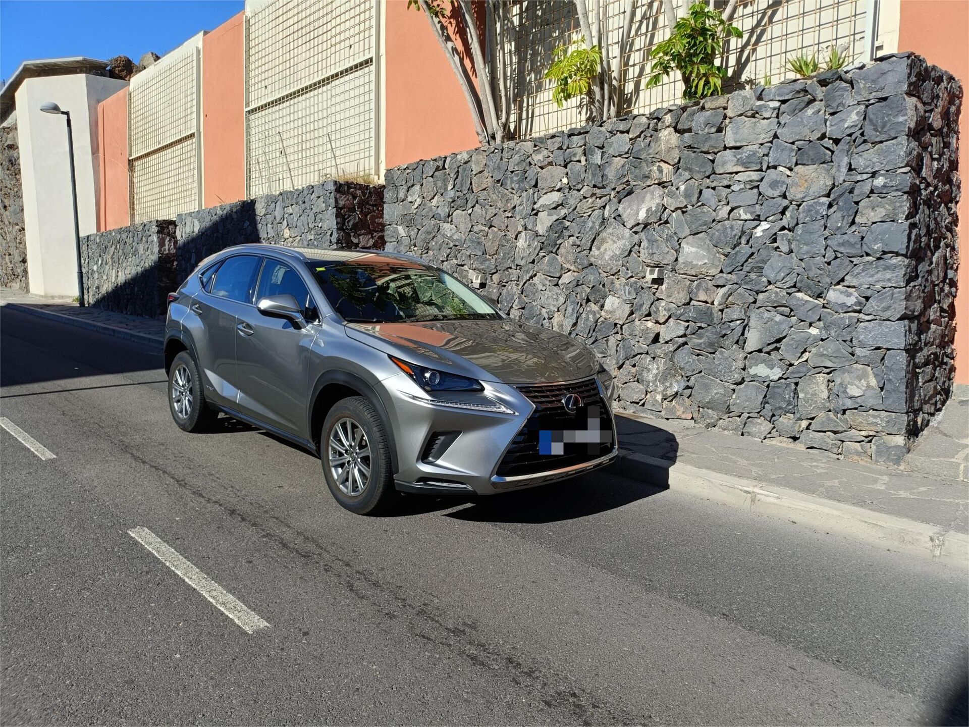 Imagen de LEXUS NX