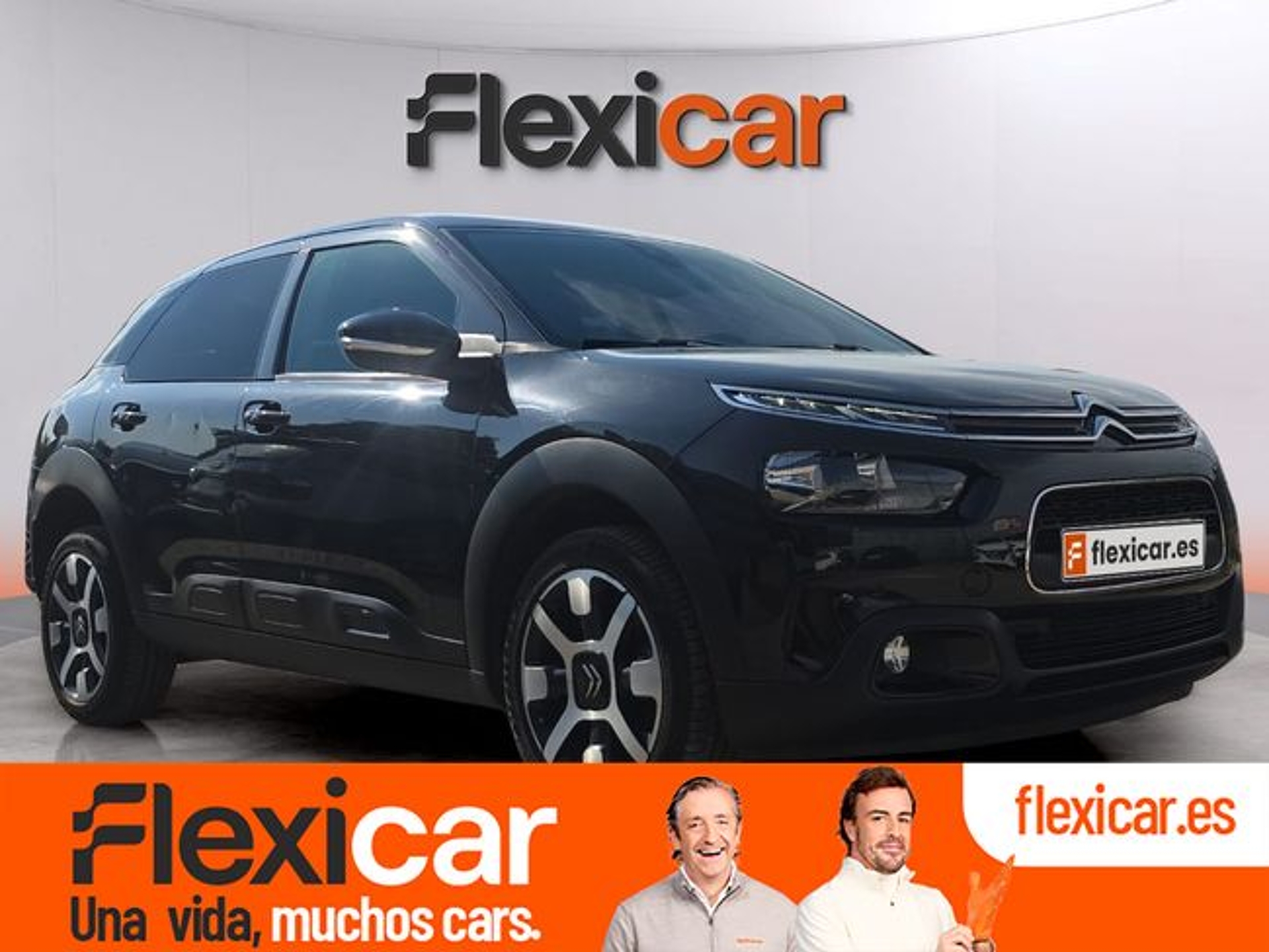 Imagen de CITROEN C4 Cactus