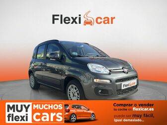 Imagen de FIAT Panda 1.2 Lounge