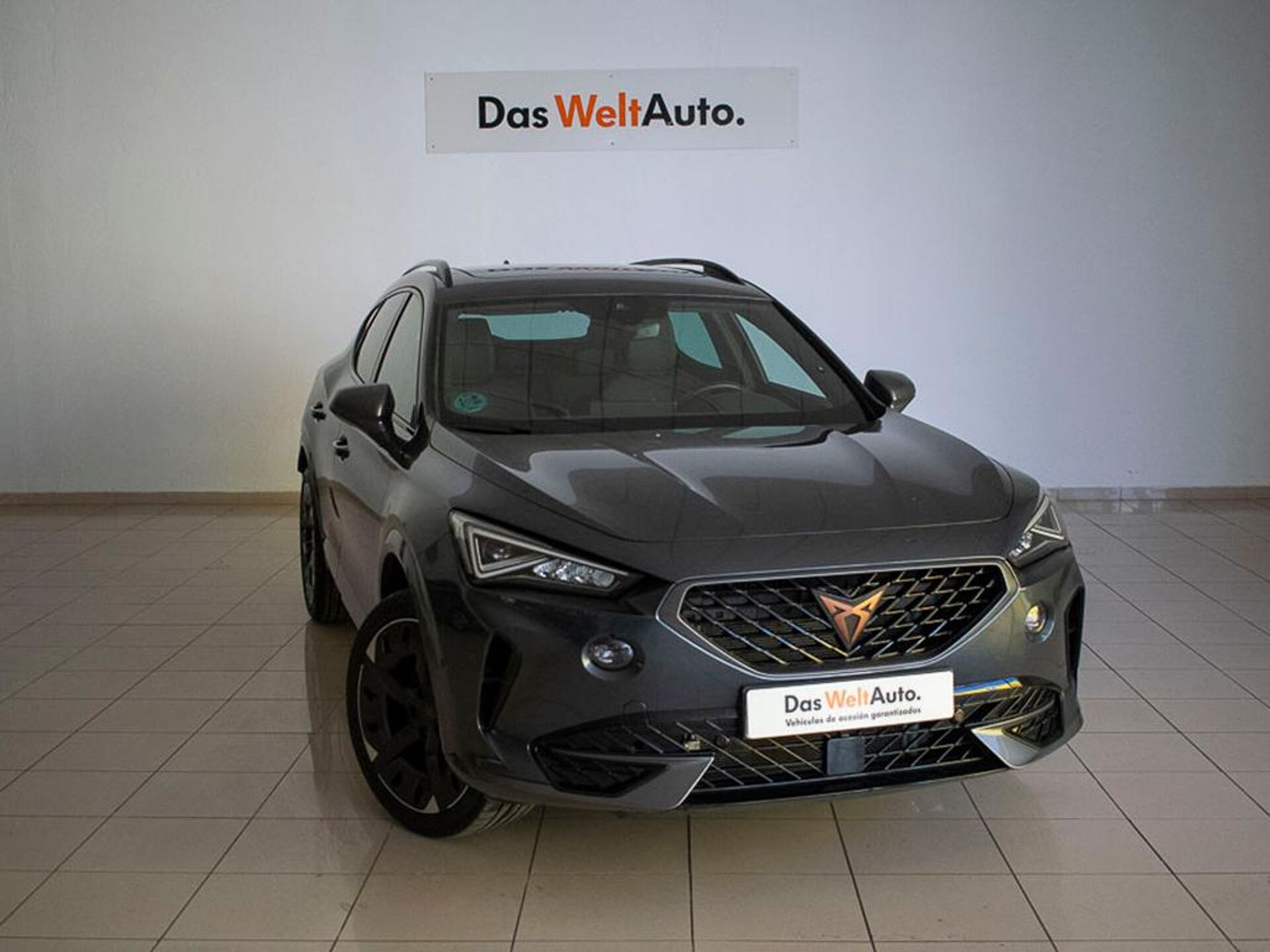 Imagen de CUPRA Formentor