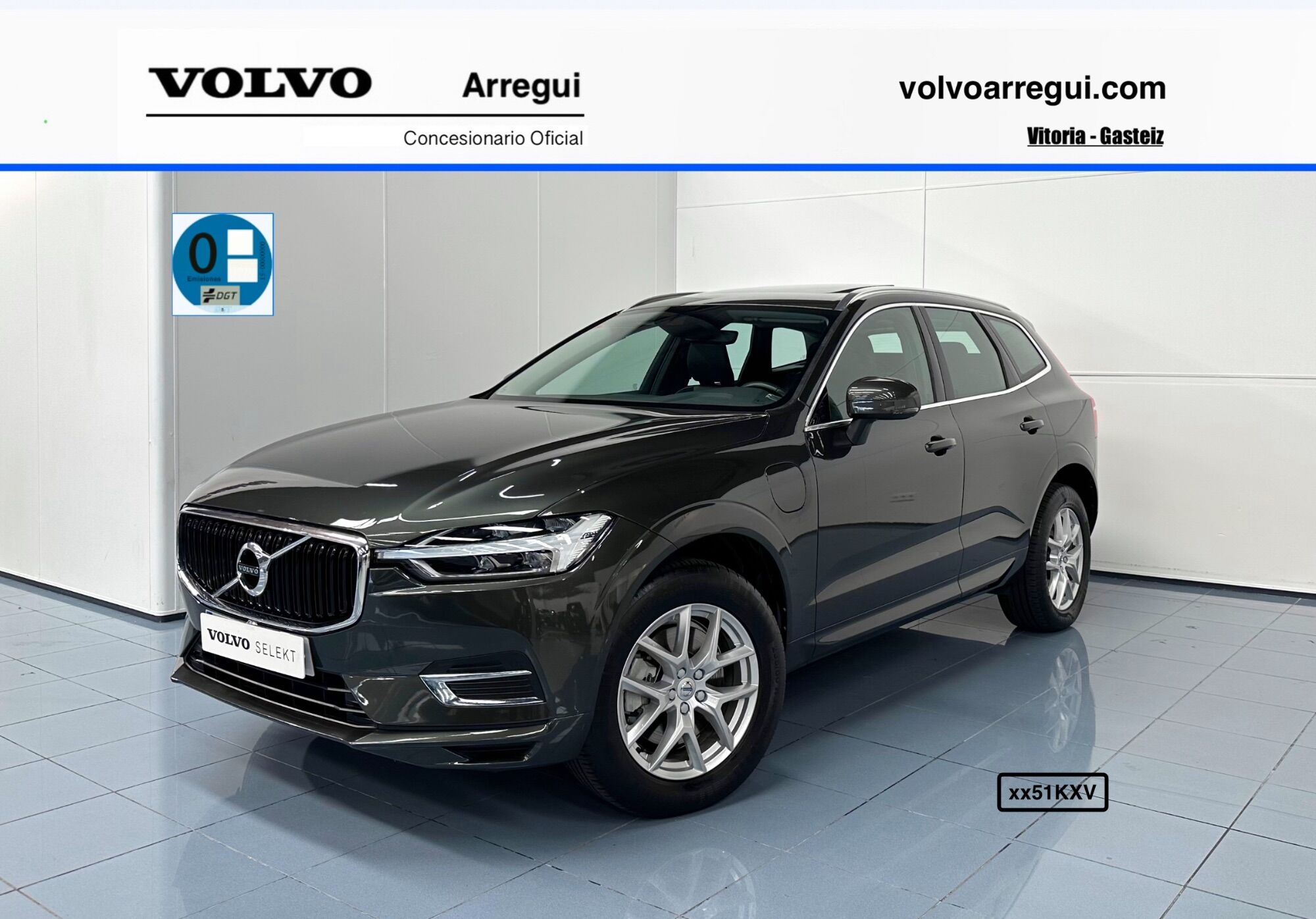 VOLVO XC60 (T8 Twin Momentum Premium Edition) en Álava