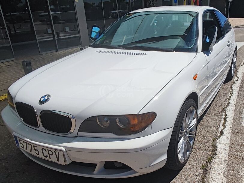 Foto del BMW Serie 3 318 Ci