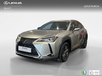 Imagen de LEXUS UX 250h Business 4WD