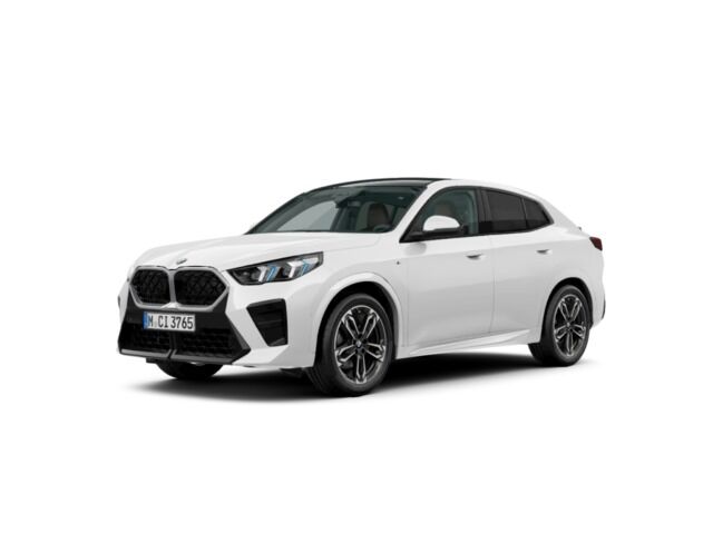 BMW X2 (sDrive20d 120 kW (163 CV)) en Alicante