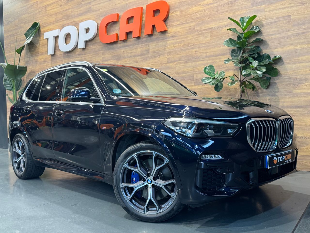 BMW X5 (3.0D Xdrive   M Sport) en Vizcaya