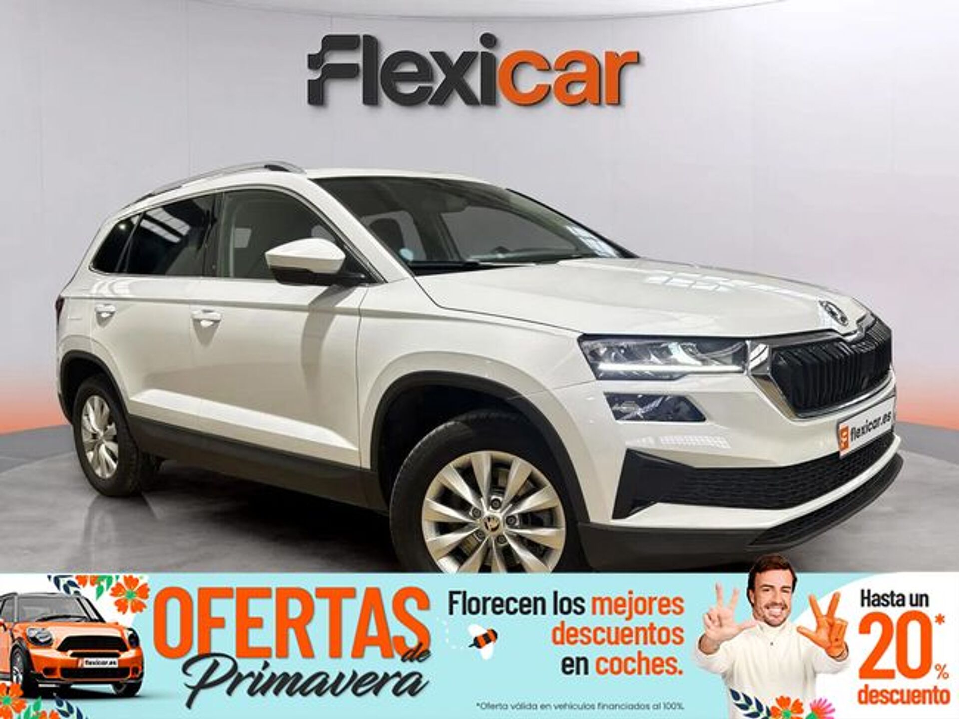 Imagen 1 de SKODA Karoq