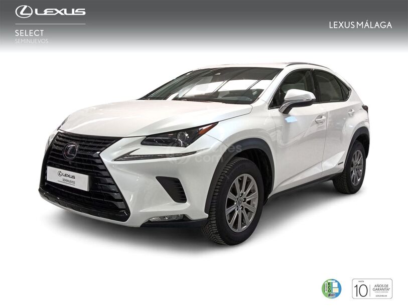 Foto del LEXUS NX 300h Business Navigation 2WD