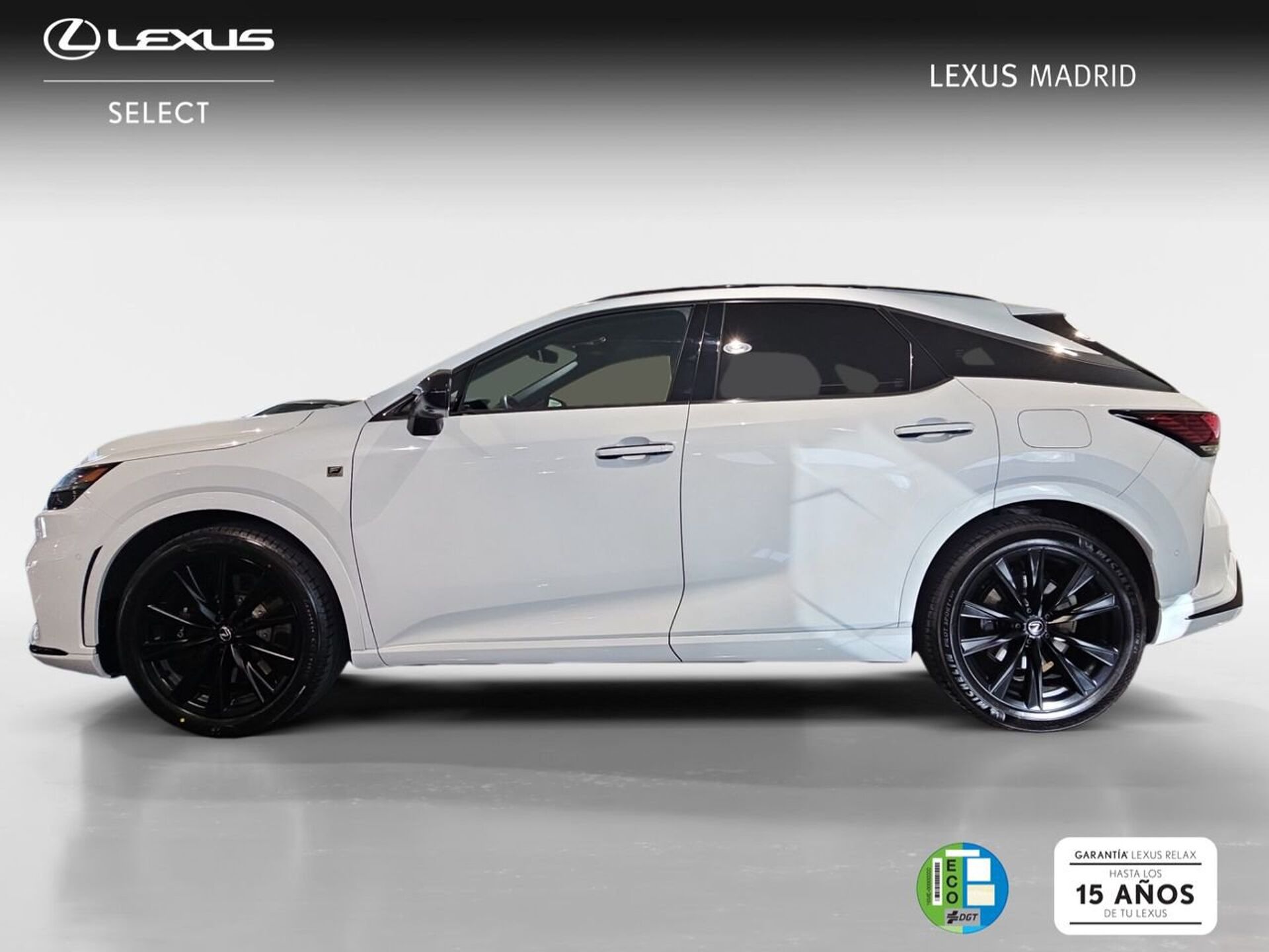 Imagen 2 de LEXUS RX