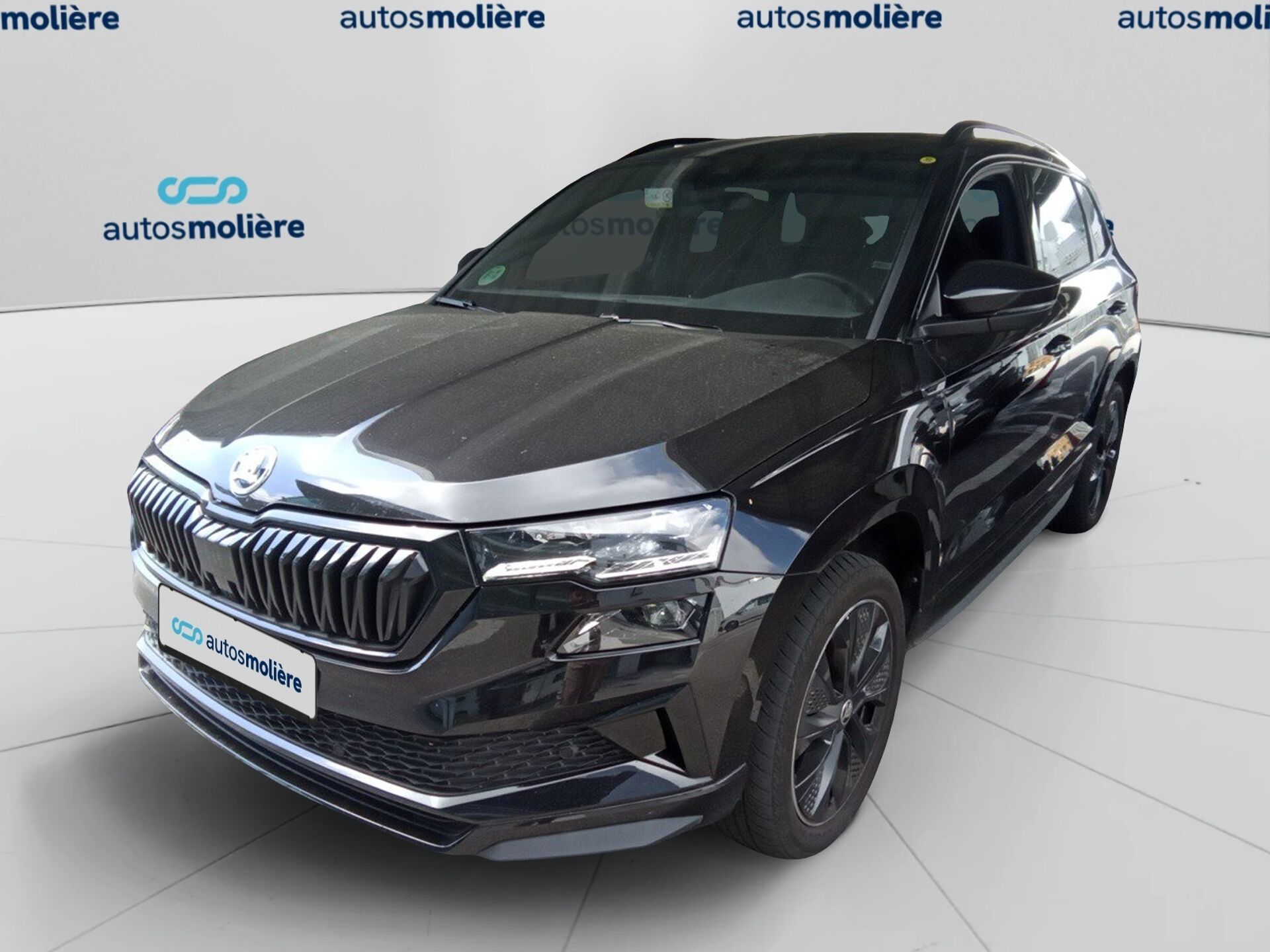 Imagen de SKODA Karoq